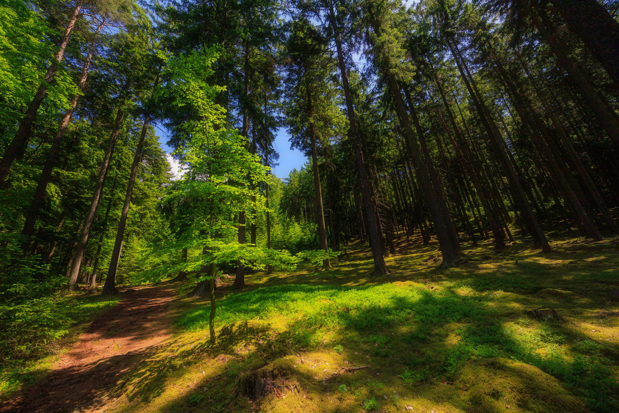 004 2025-05-31 PR Žďár II.jpeg