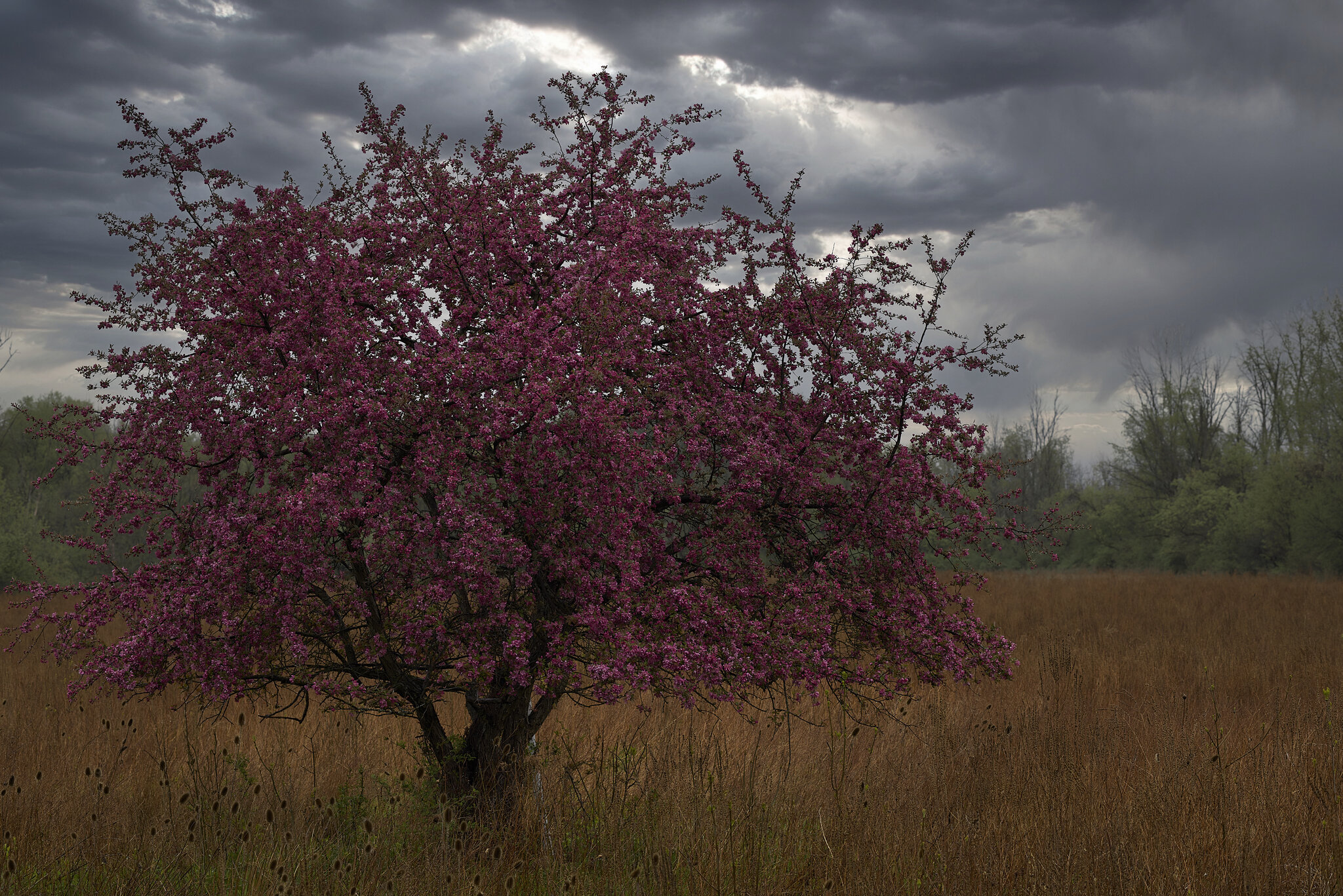 Thread 'I feel dirty....'