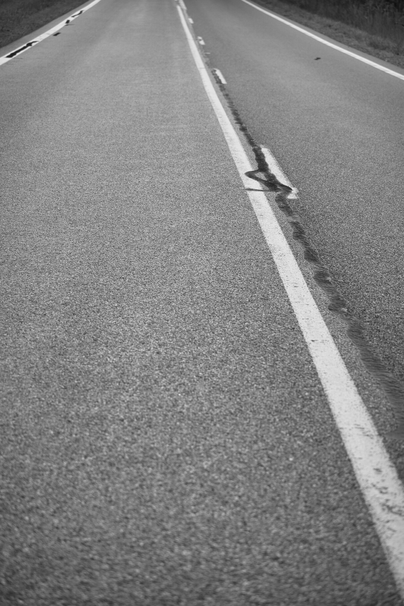 Thread 'I'm dabbling in Street Photography'