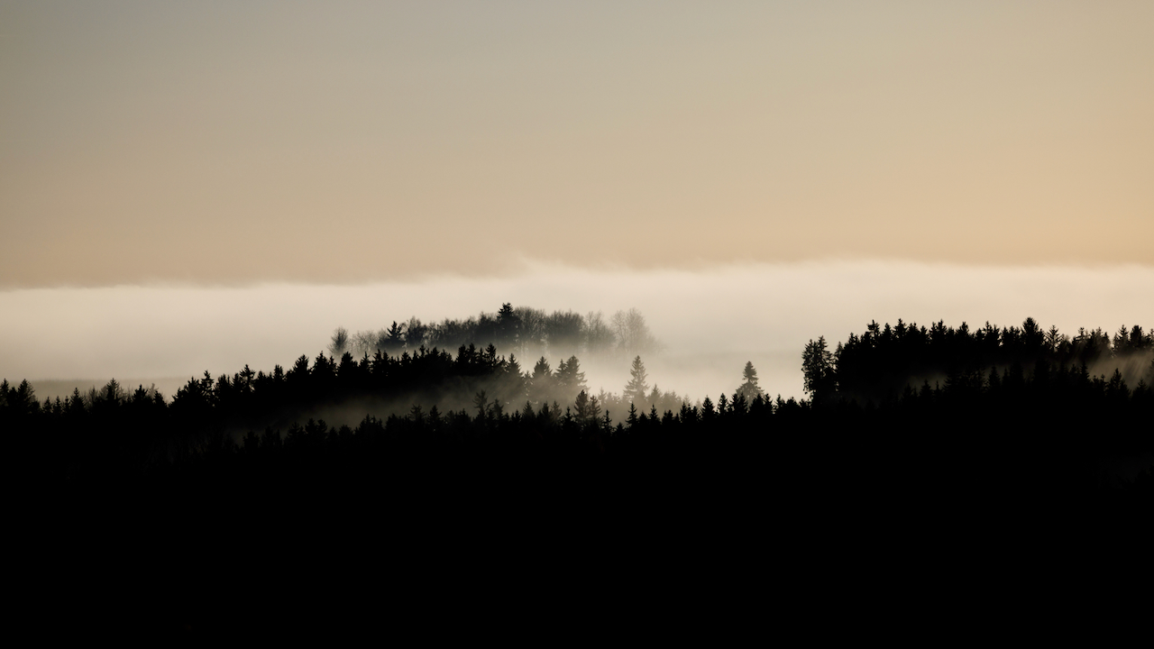 049 2025-12-13 Rotavské varhany.jpeg