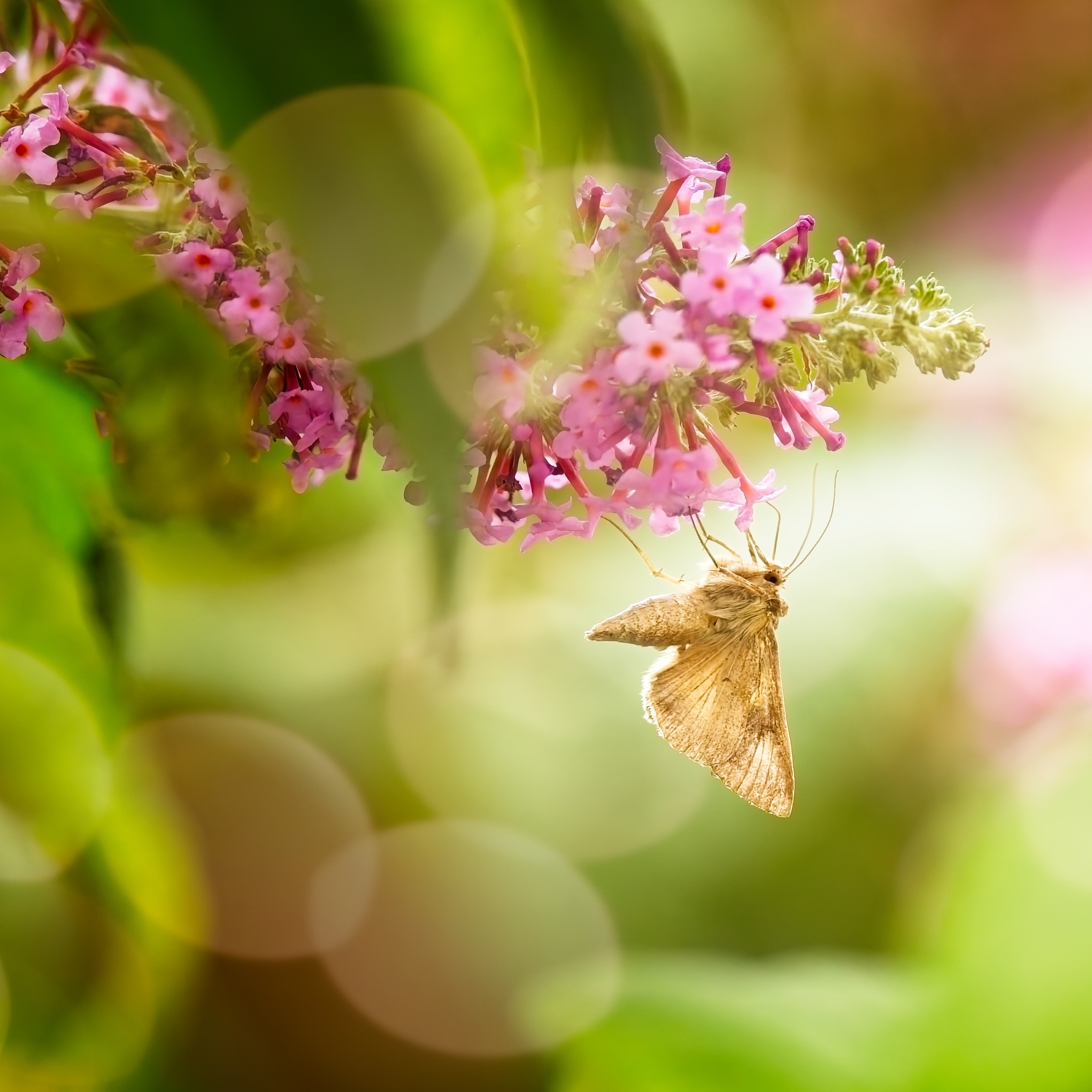 132A9462.jpg