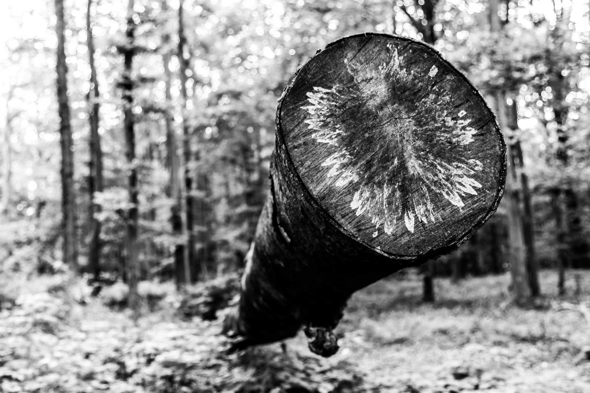 20140928_Urlaub Stocksee_0045.jpg