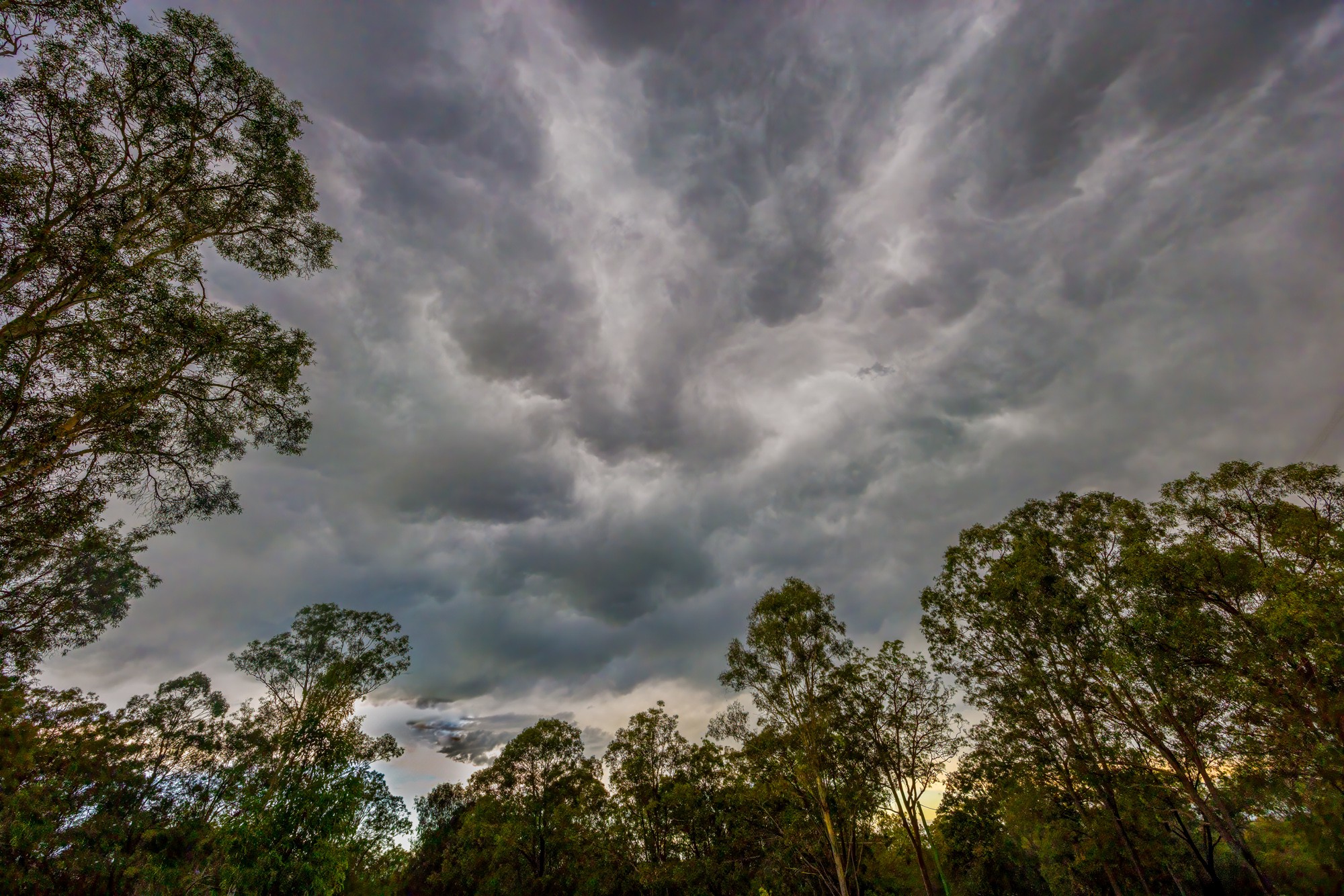 Storm Clouds