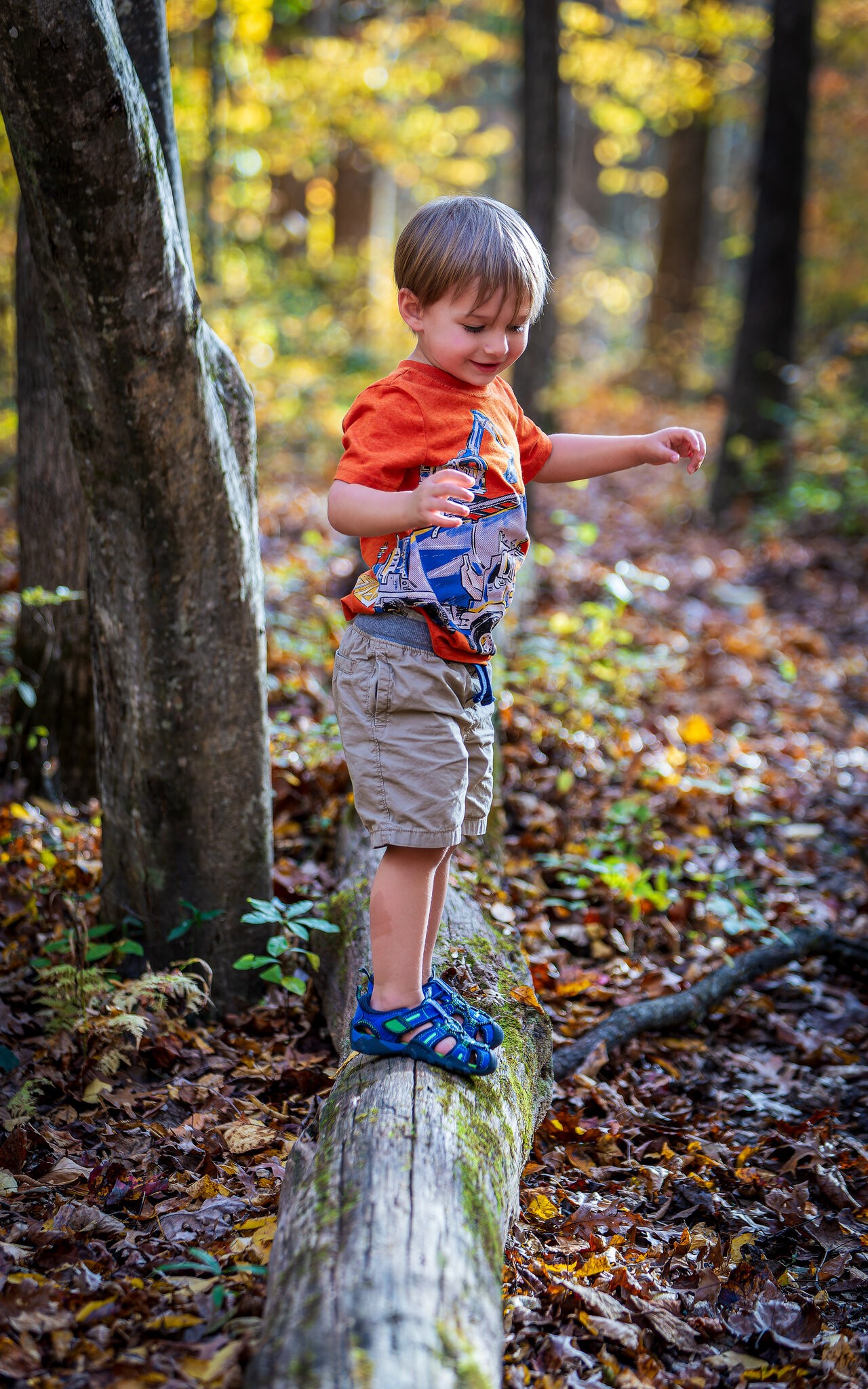 2023_October_CrabtreePark_wBridger_087-DNG_DxO_DeepPRIMEXD-Edit_003_PROCESSED.jpg