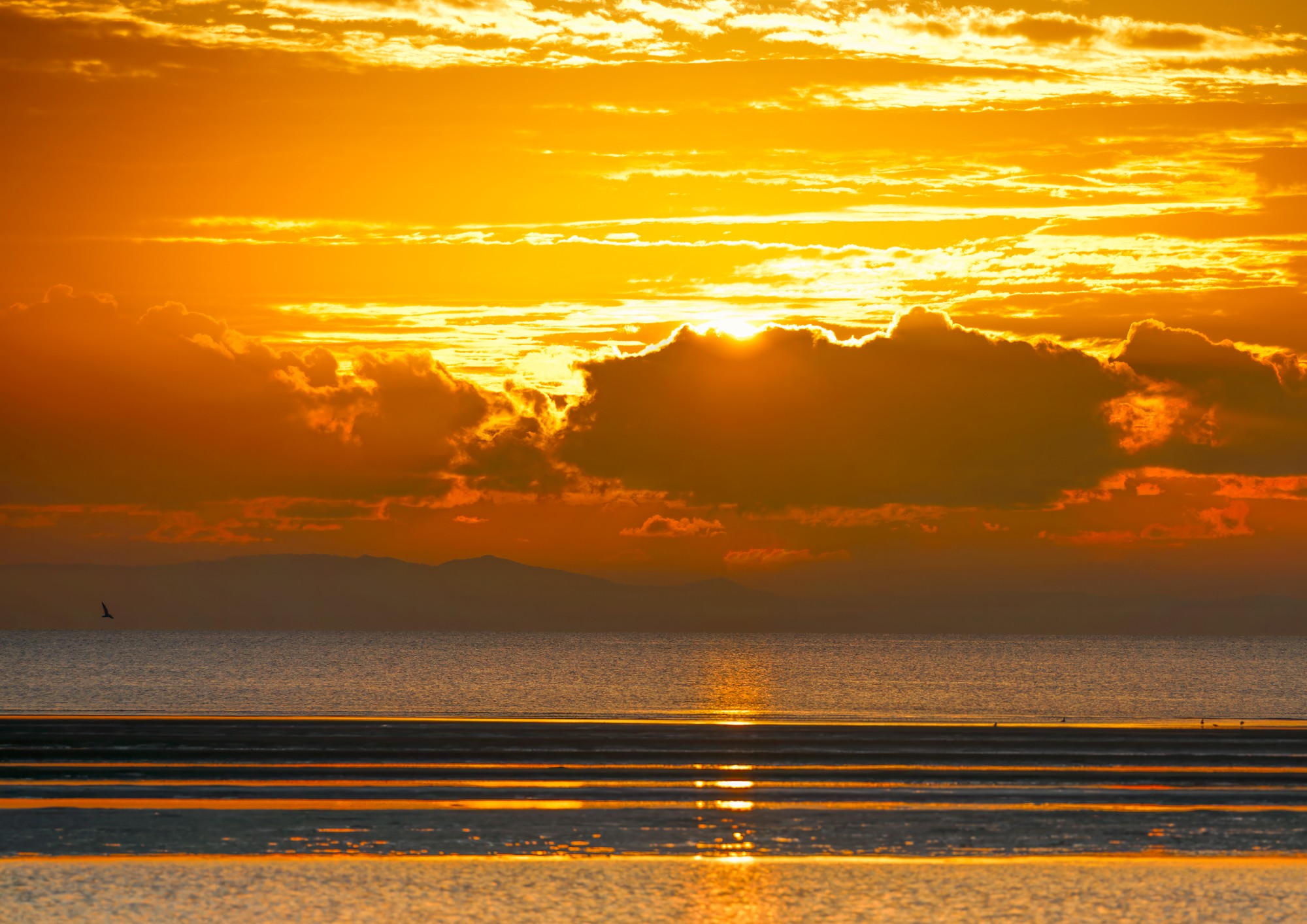 Sunrise over Moreton Bay, Queensland