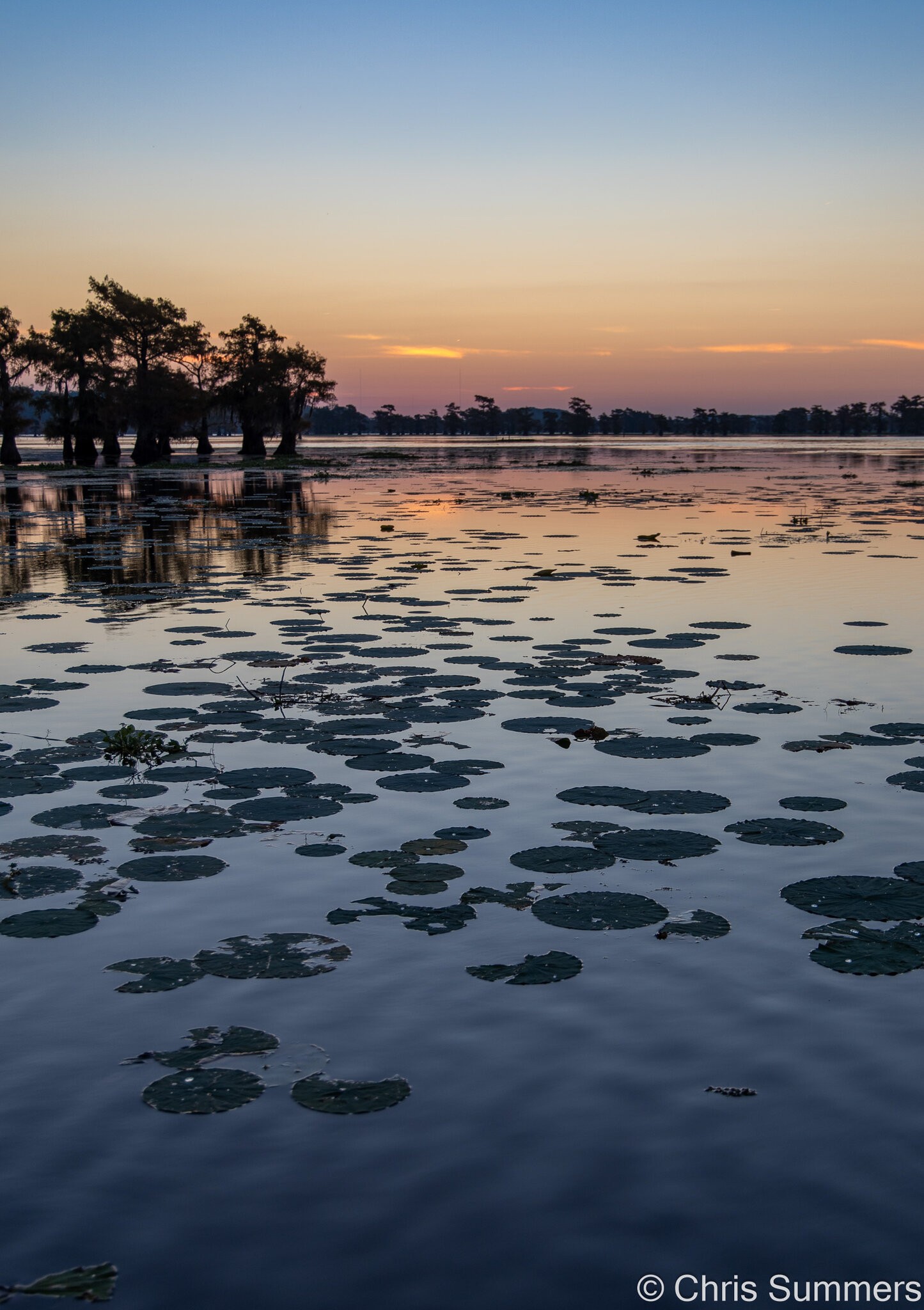 2024-067-058 Caddo Lake trip.jpg