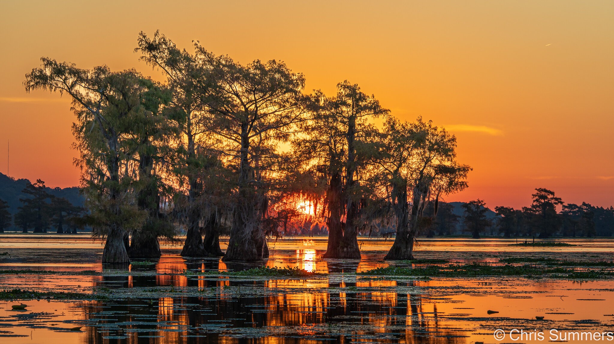 2024-067-103 Caddo Lake trip.jpg