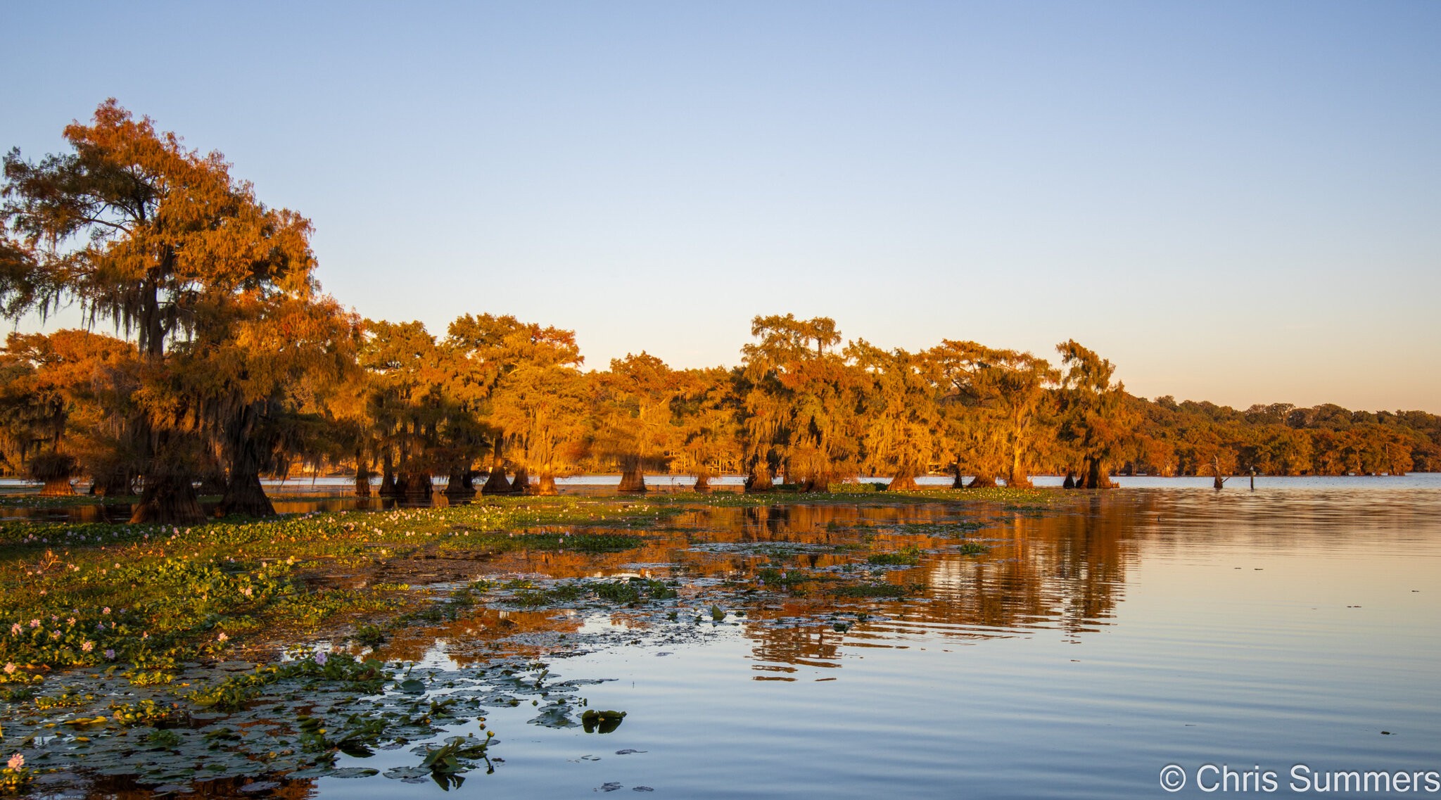 2024-067-689 Caddo Lake trip.jpg