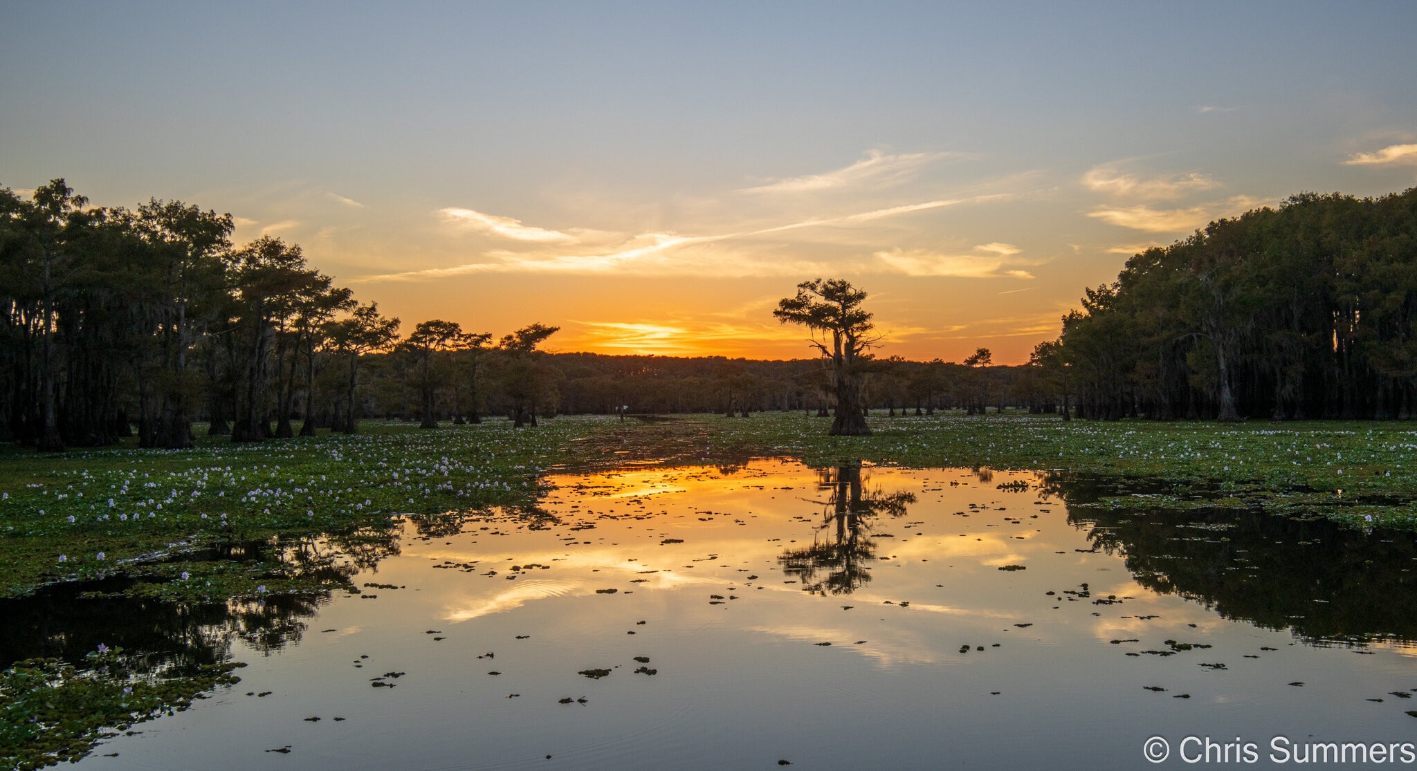 2024-067-750 Caddo Lake trip.jpg