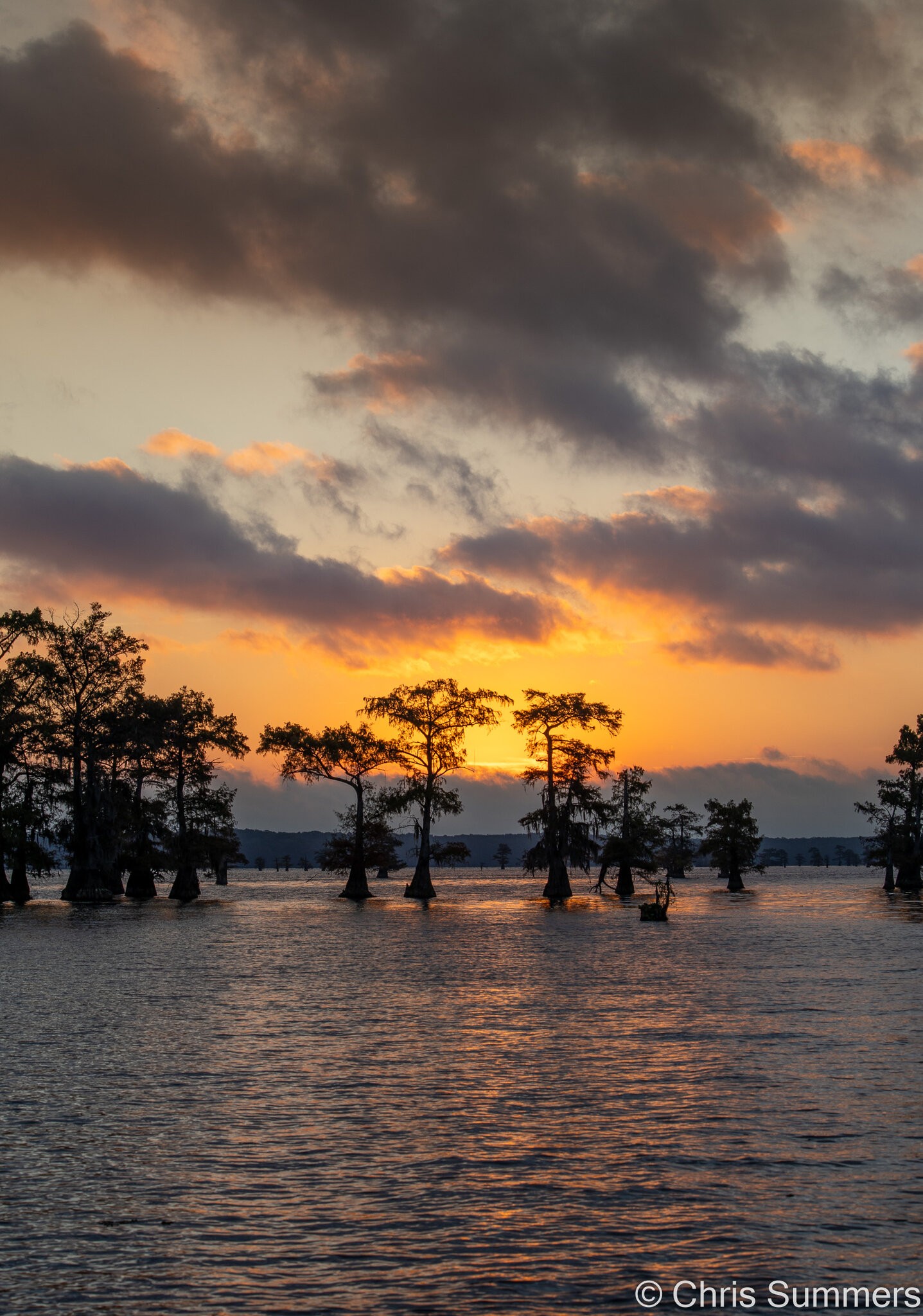 2024-067-897 Caddo Lake trip.jpg