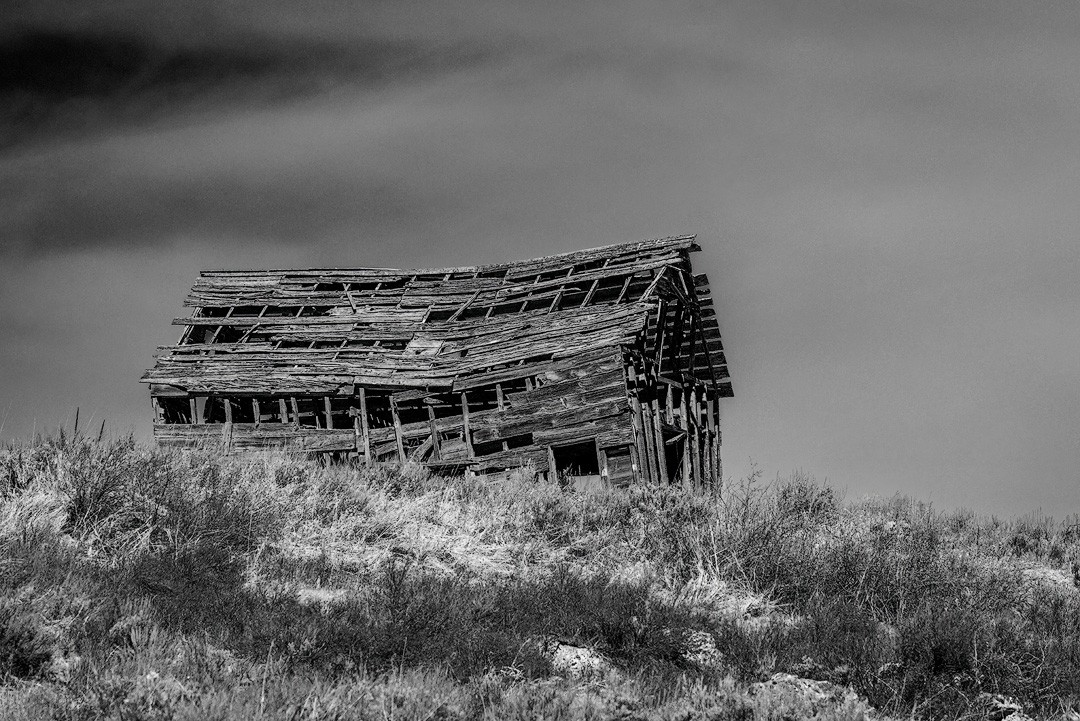 2024_05_04_Yellowstone-10376-Edit1080.jpg