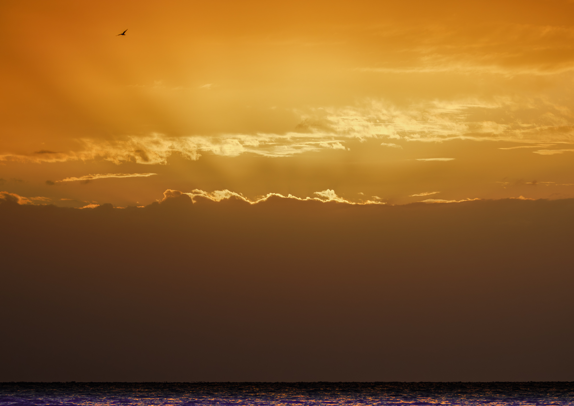 Pretend Sunrise over Moreton Bay