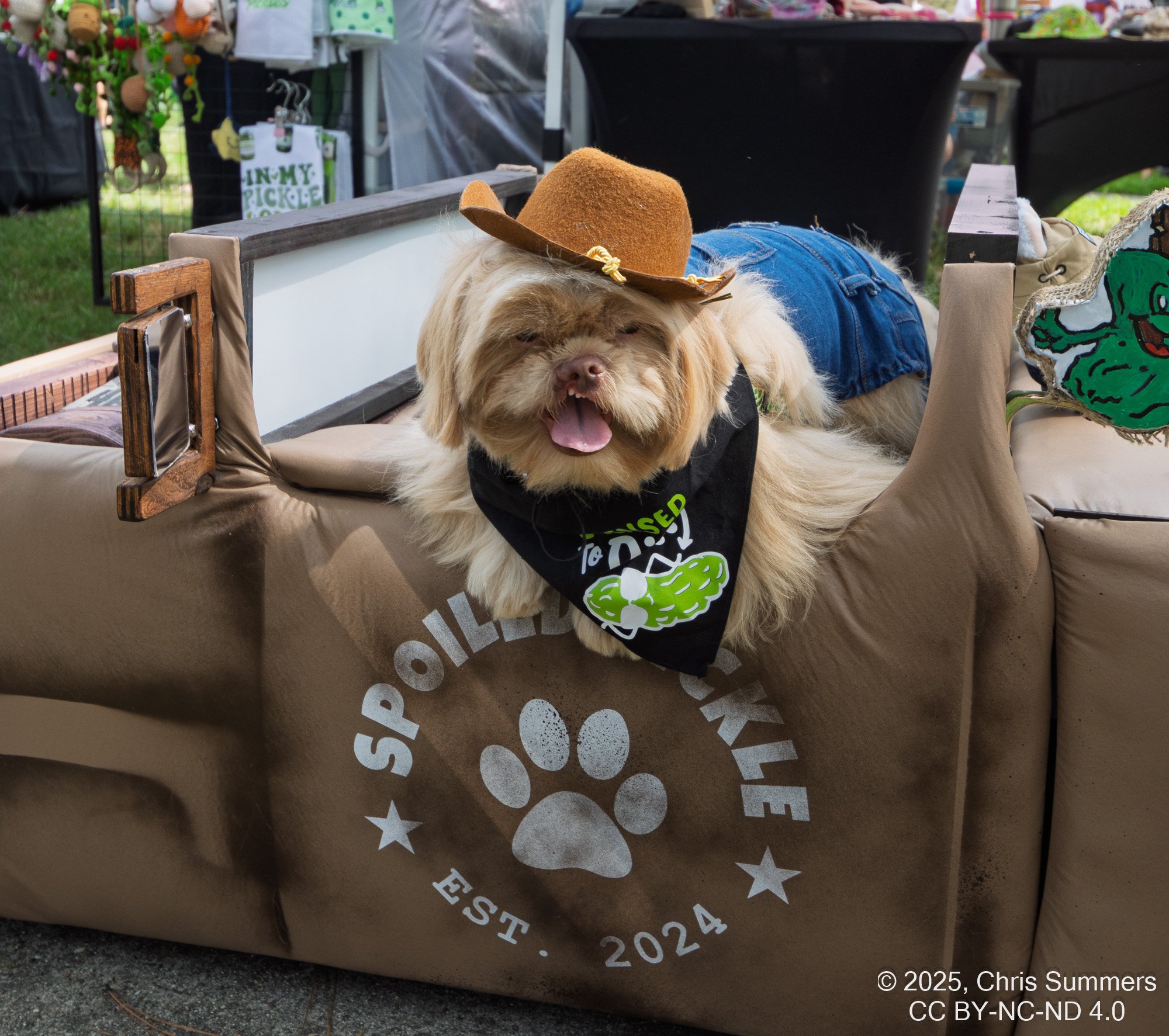 2025-050-051 Kingwood Pickle Festival.jpg