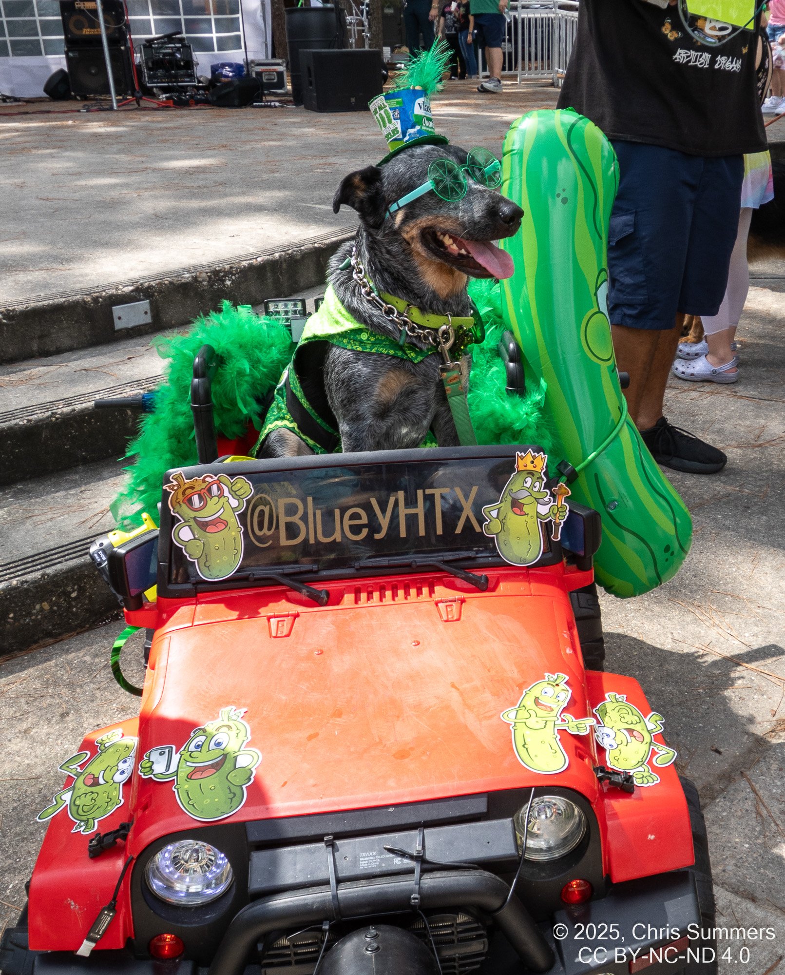 2025-050-084 Kingwood Pickle Festival.jpg