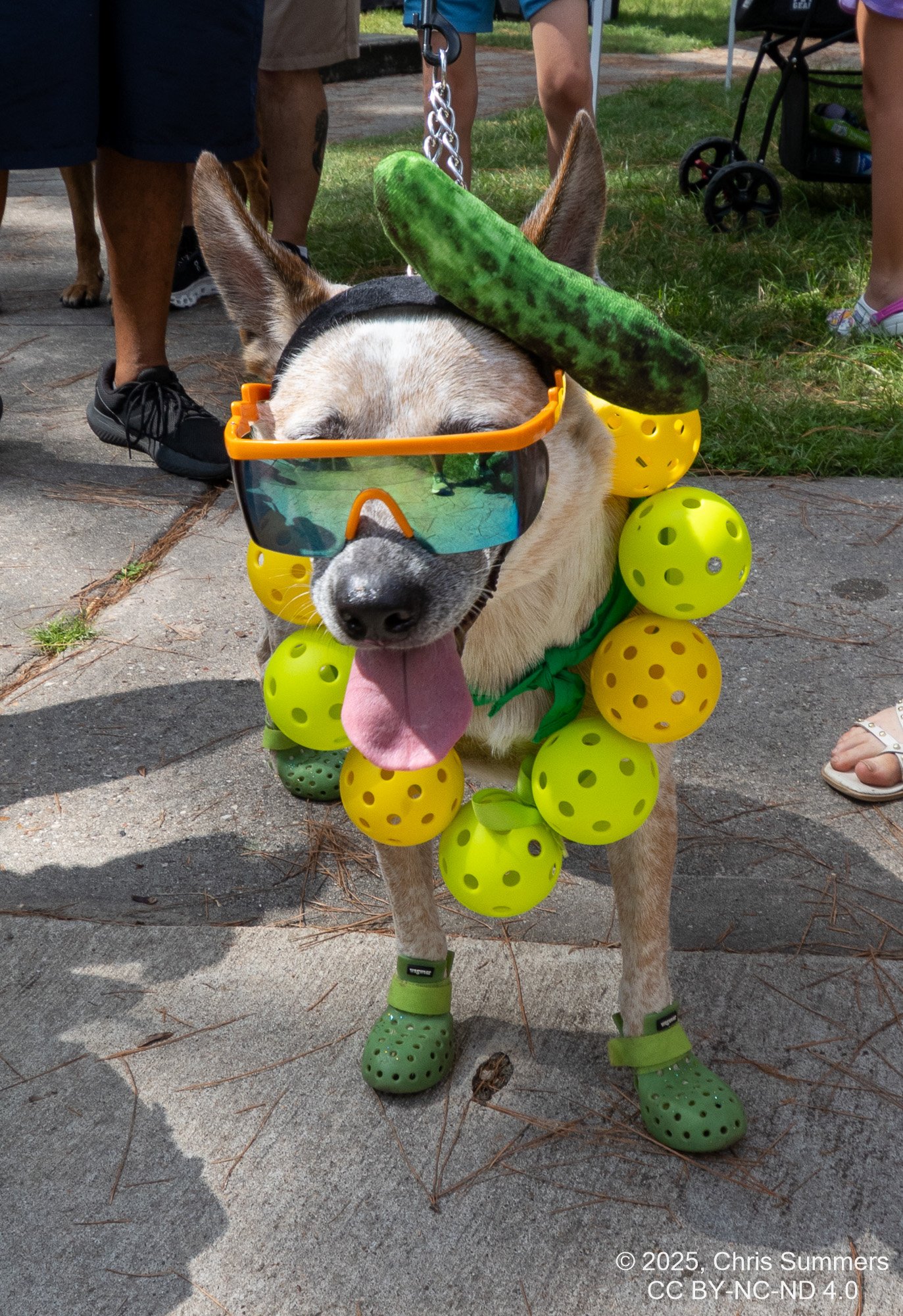 2025-050-087 Kingwood Pickle Festival.jpg