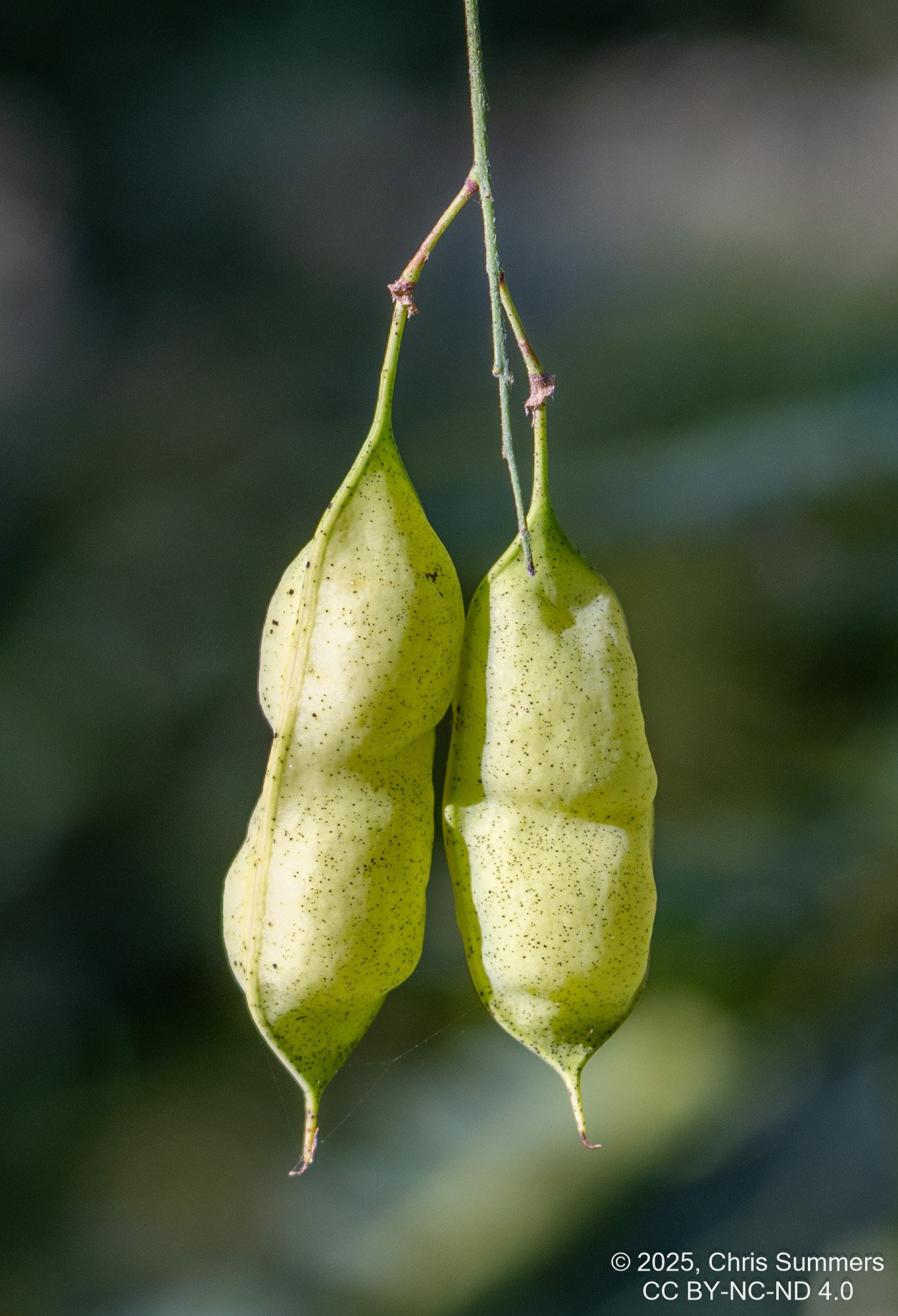 2025-054-033 Kelby Photo Walk.jpg