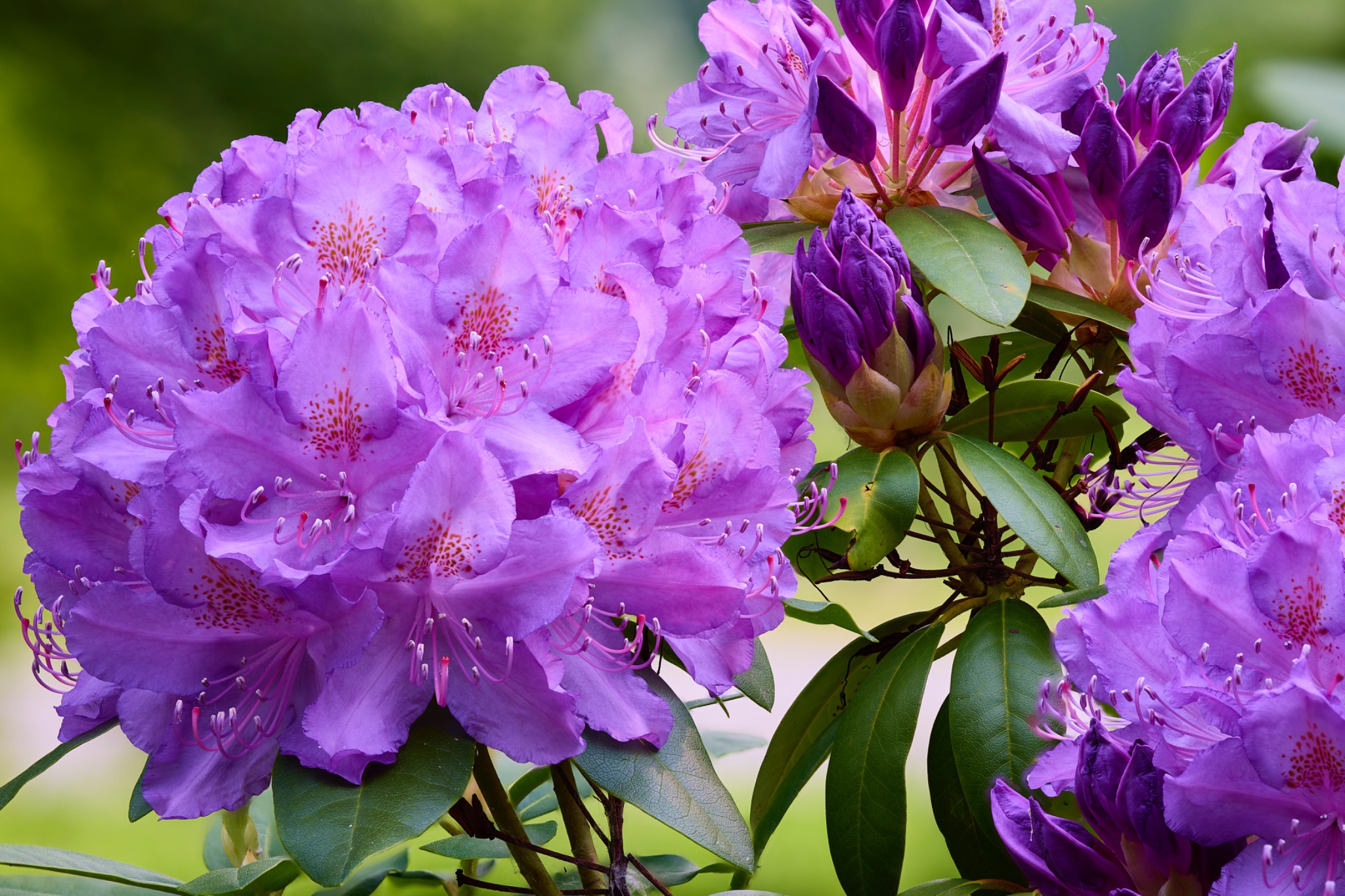 2025-06-08 09-42-54 (B,R3,S5).jpg