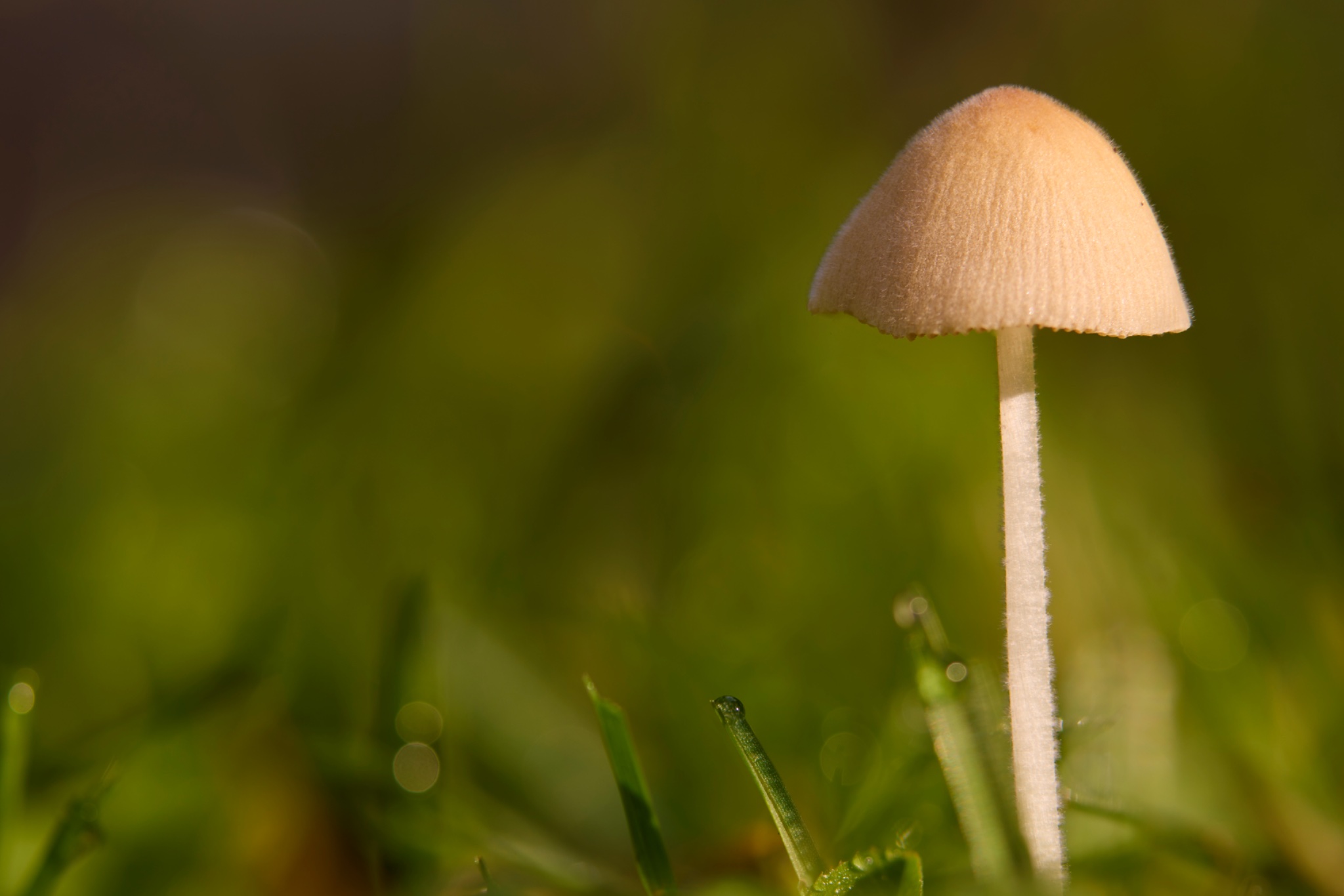 2025-07-05 08-02-25 (B,R16,S5).jpg