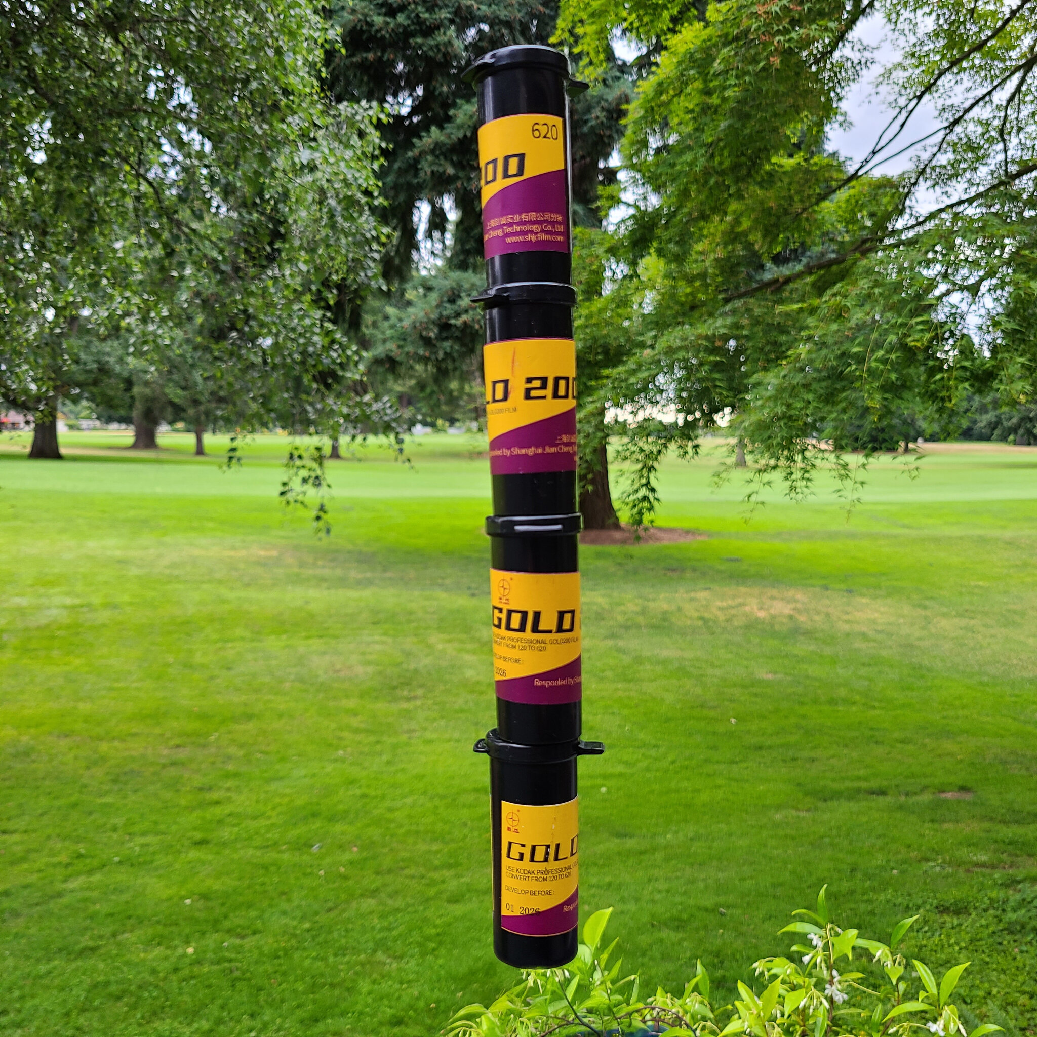 20250613_192552 copy.jpg