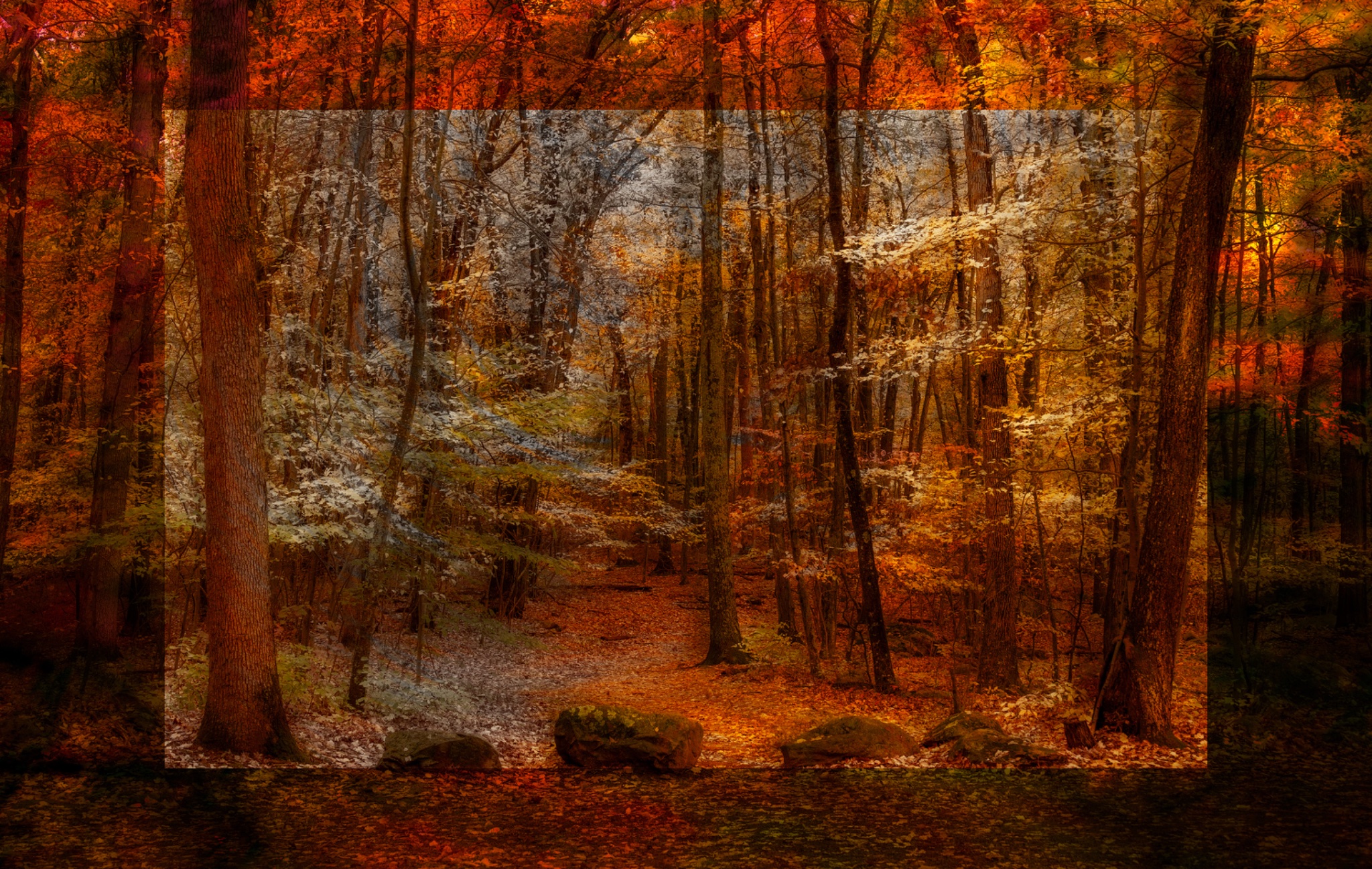 2025_10_120_LincolnWoods Autumn-ME-10055-56-Edit3000_2_Original.jpeg