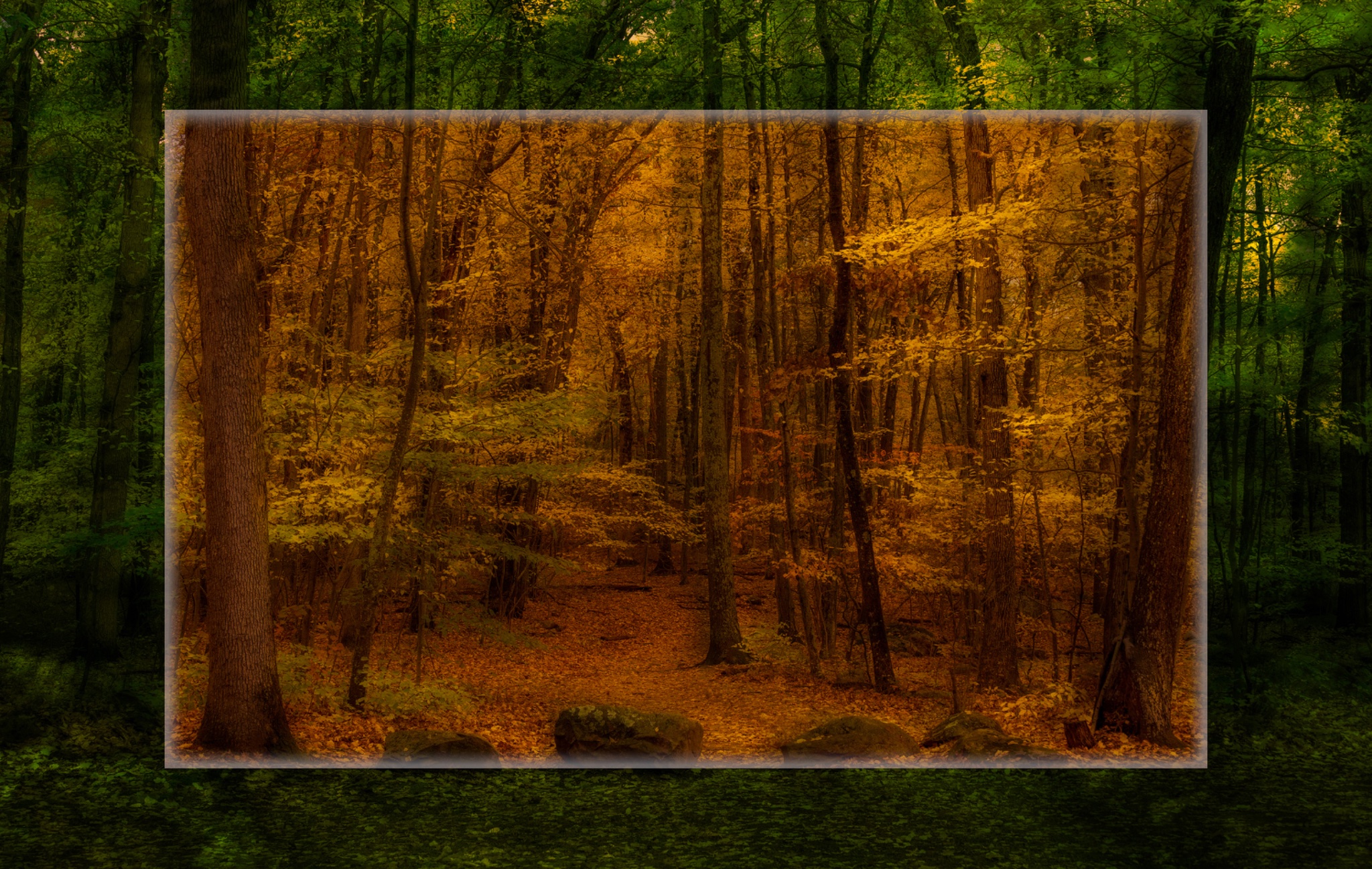 2025_10_120_LincolnWoods Autumn-ME-10055-56-Edit3000_3_Original.jpeg