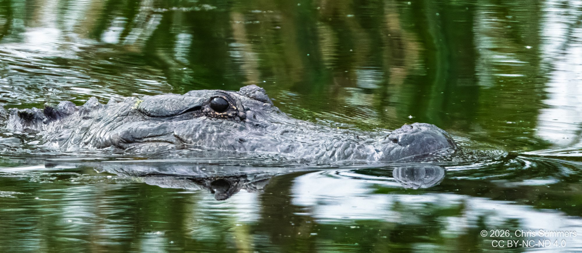 2026-021-125 KWPC Brazos Bend SP.jpg