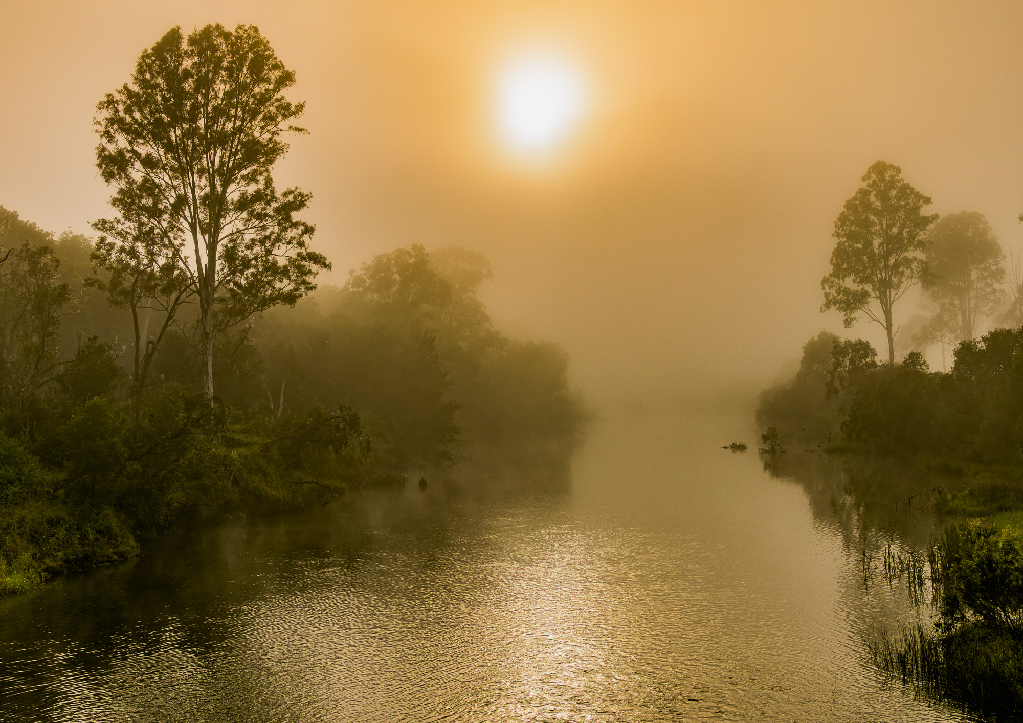 Brisbane River, Queensland