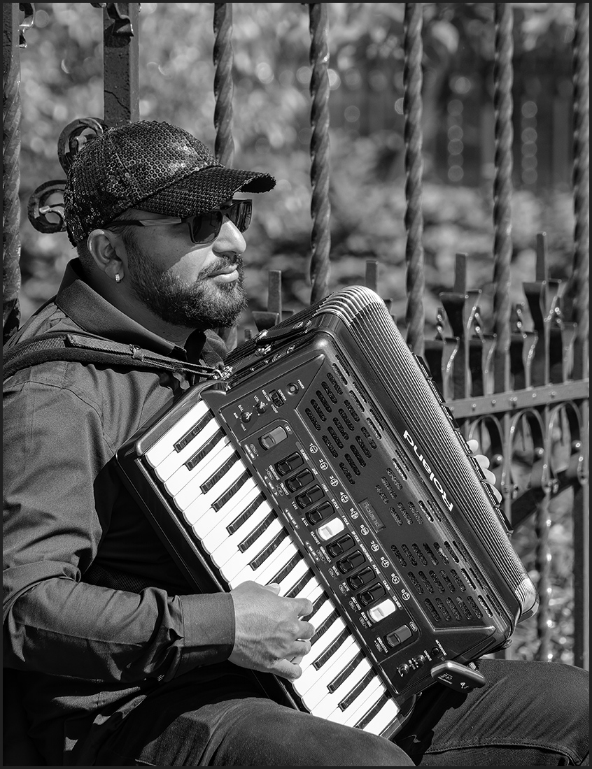 3668_Accordion.jpg