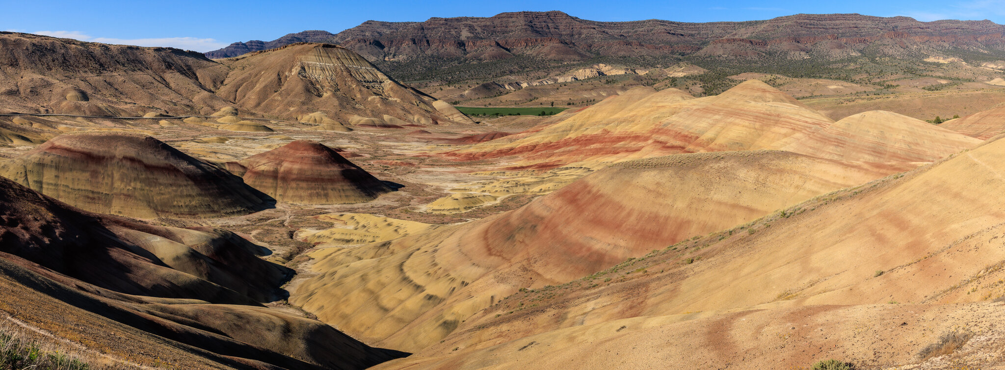 4P9A0036-Pano.jpg