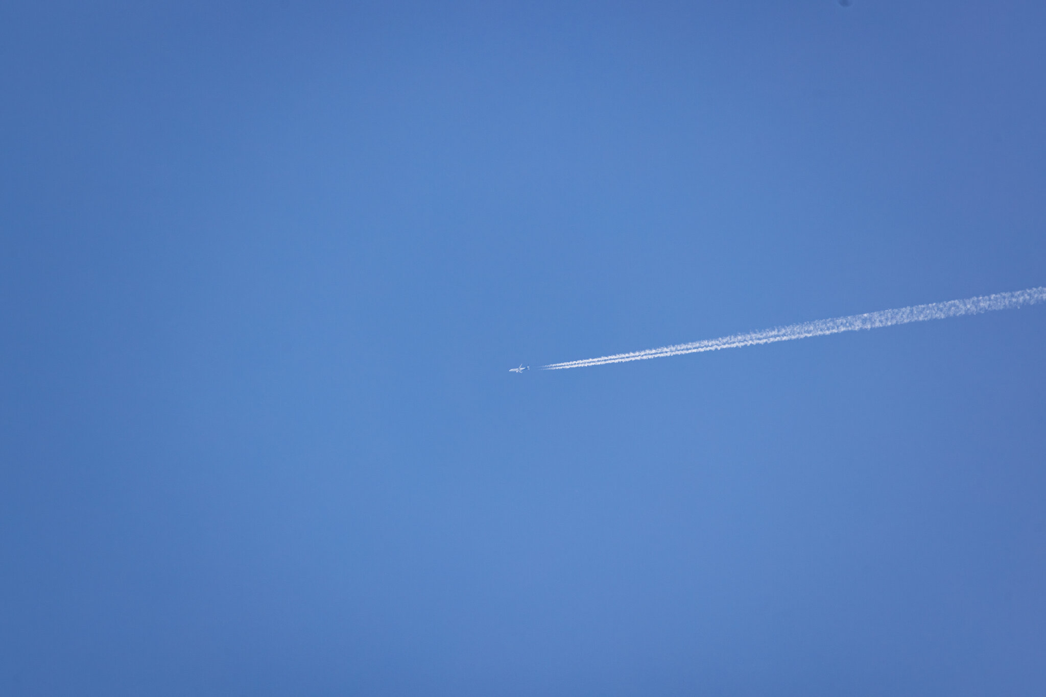 4P9A0656.jpg