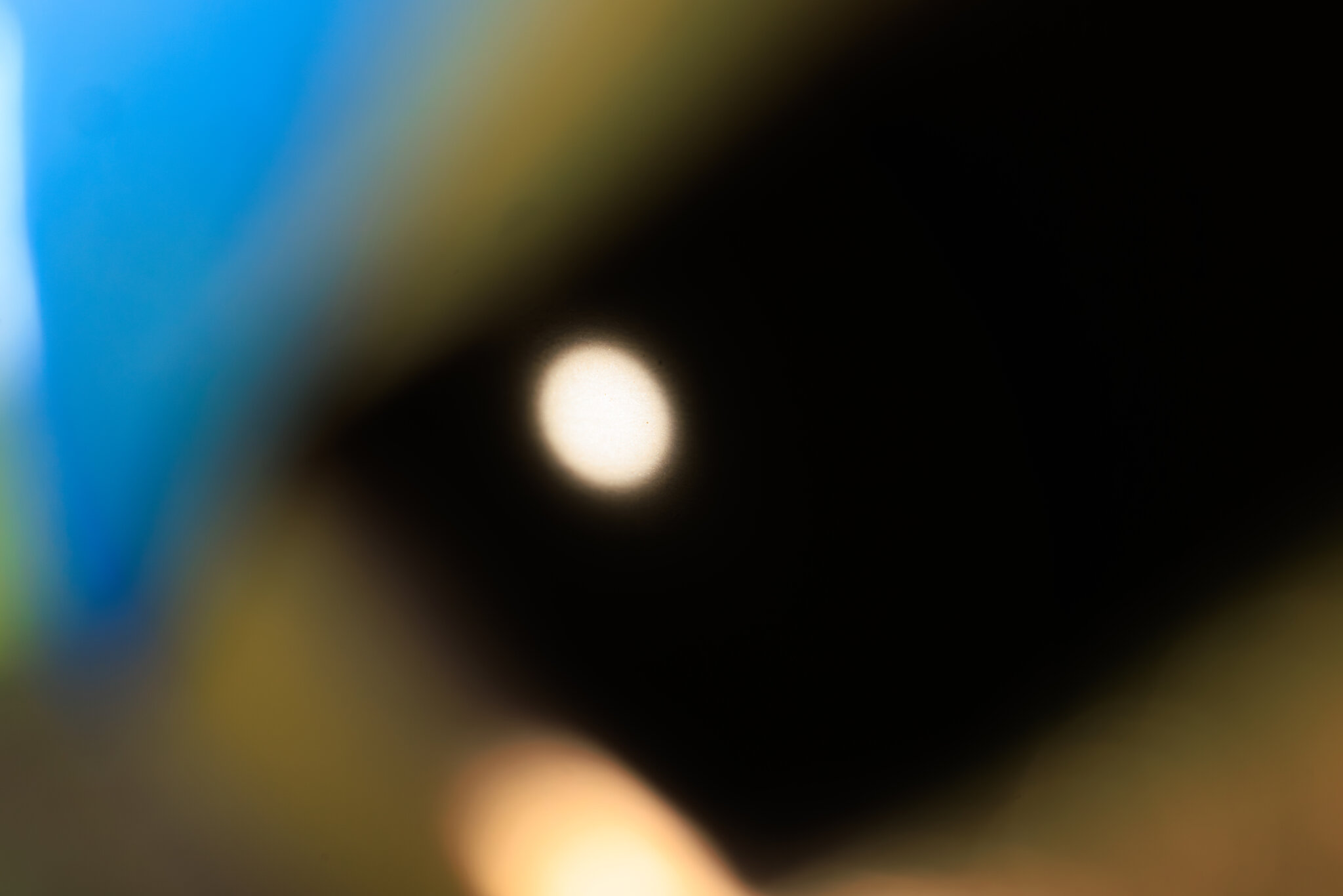 4P9A8855.jpg