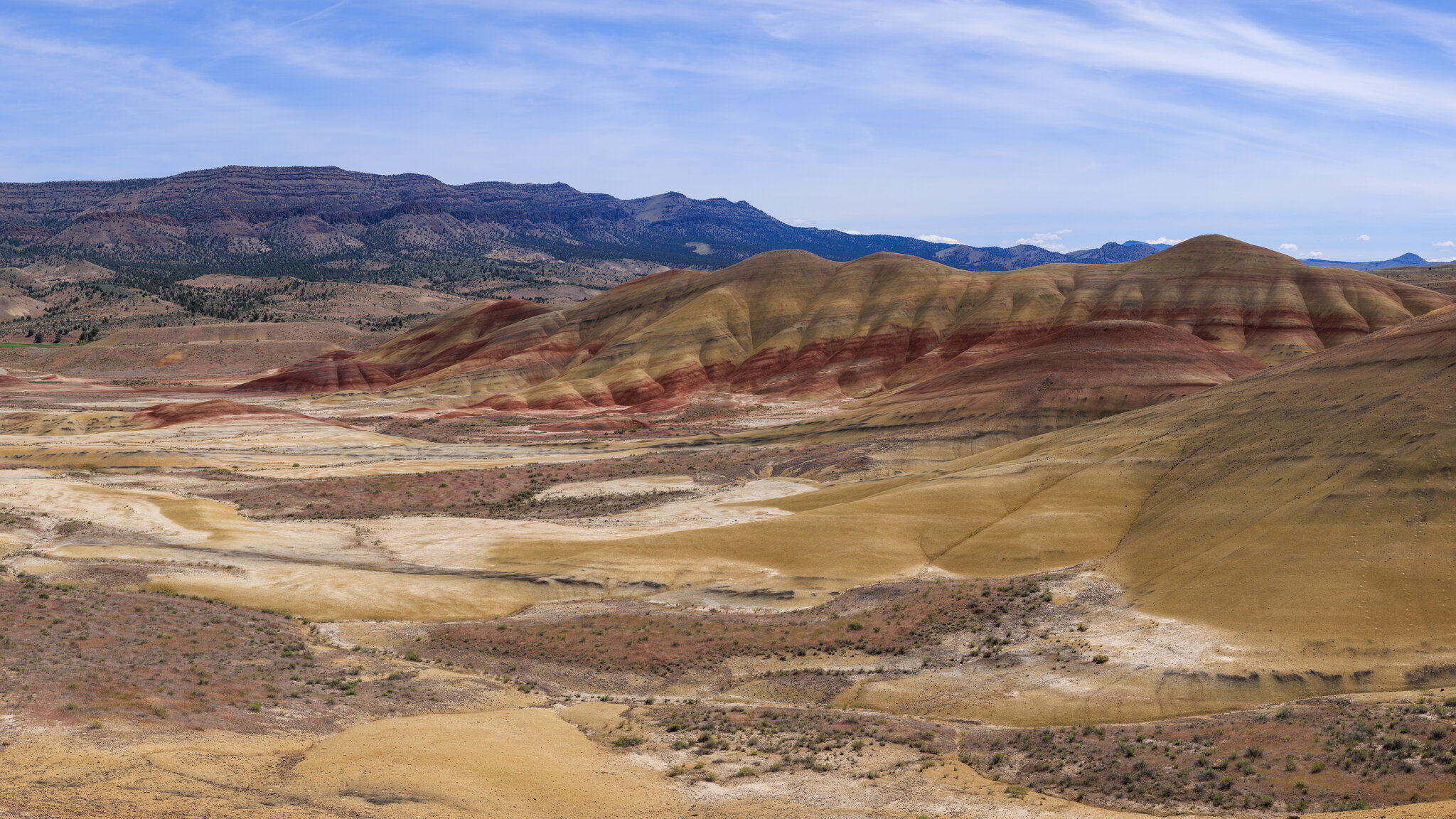 4P9A9895-Pano.jpg