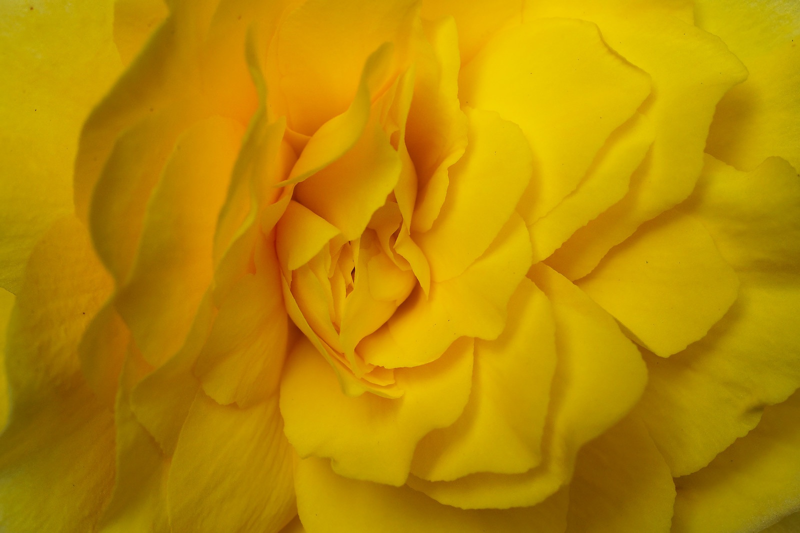 618A1368_DxO.jpg