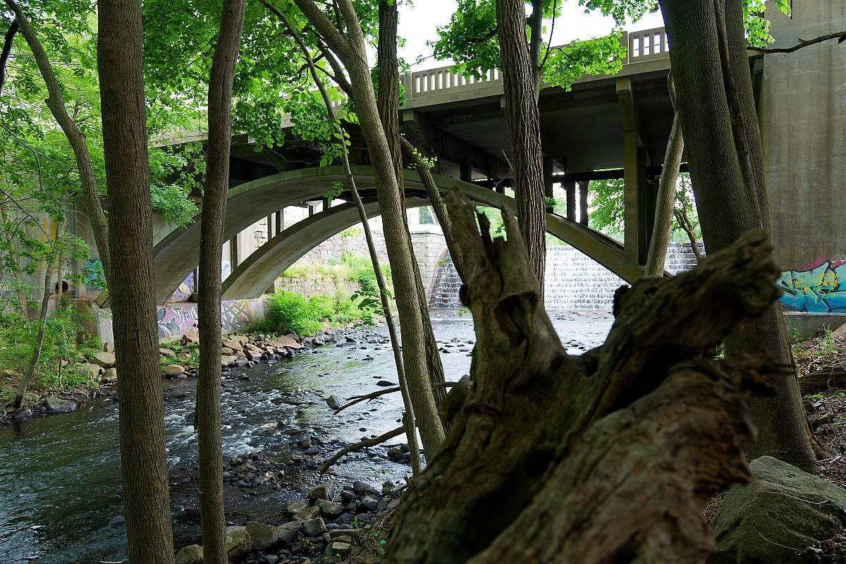 618A1449_DxO.jpg