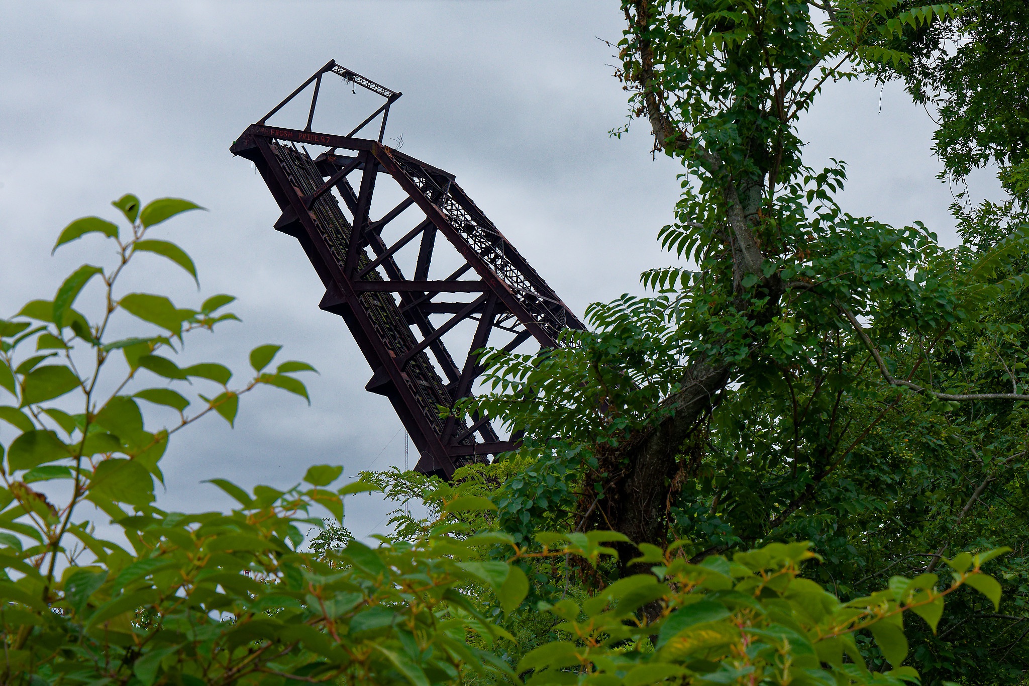 618A1972_DxO.jpg