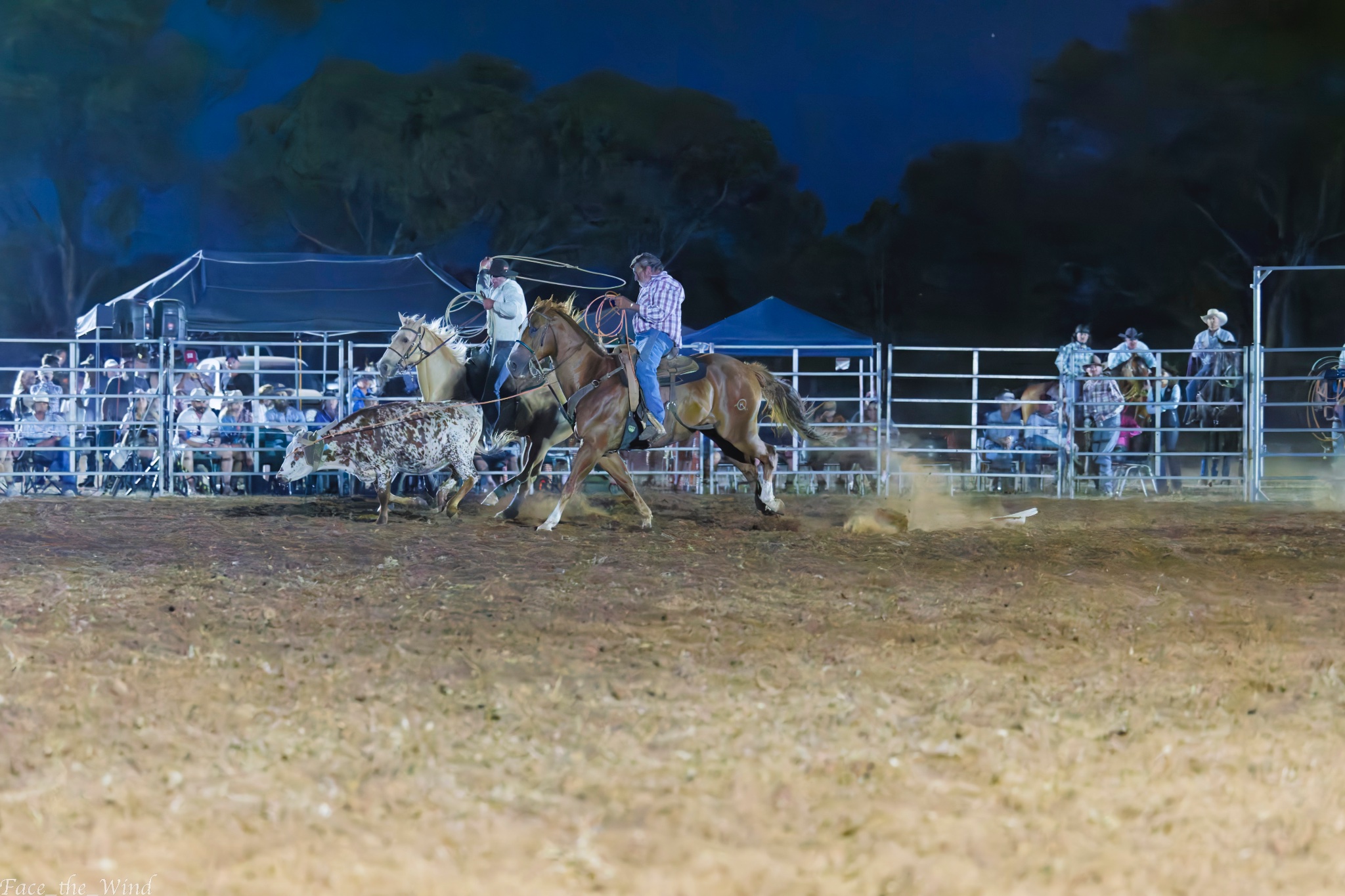 Thread 'Noise reduction extreme iso'