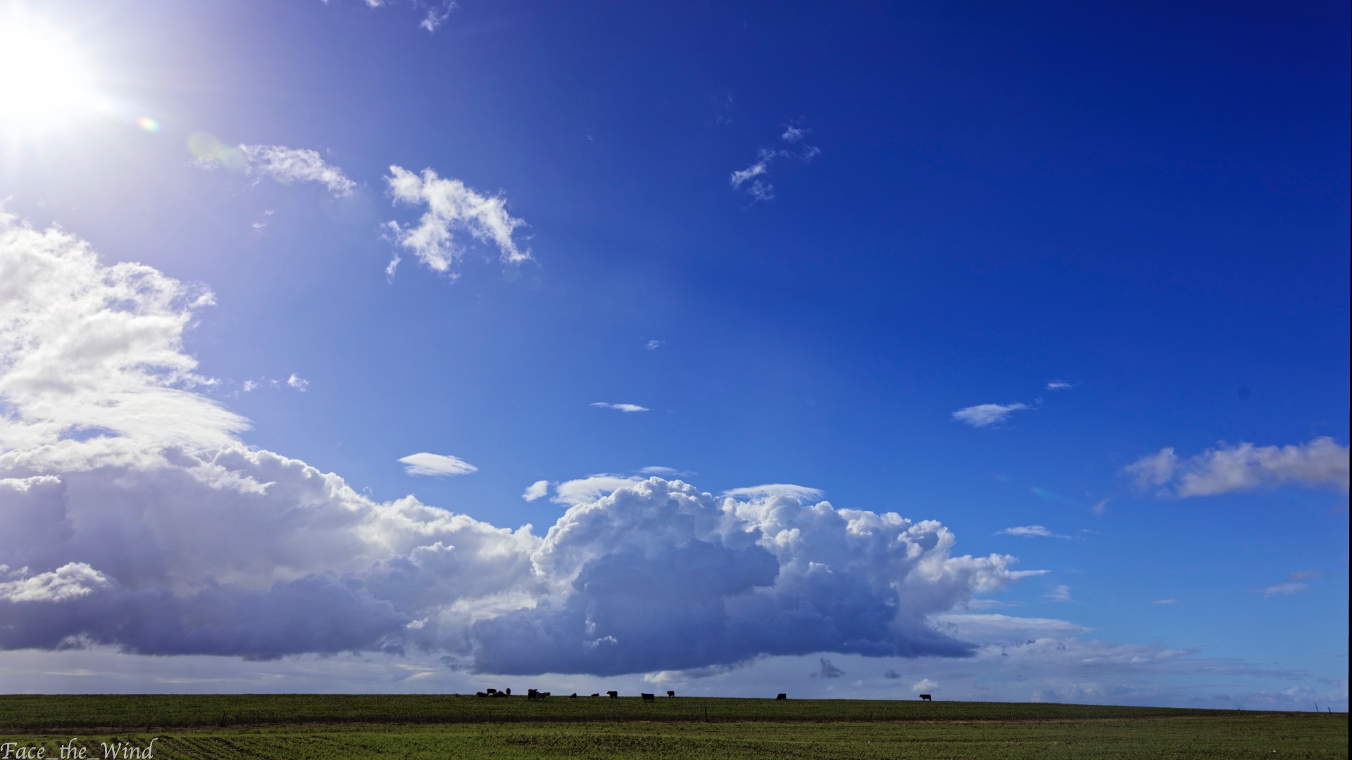 _H1_97671.2.jpg