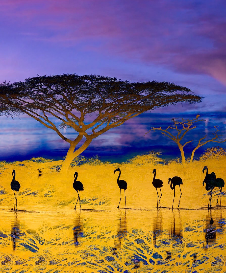 African Tree and Flamingos Difference-Edit1080.jpeg