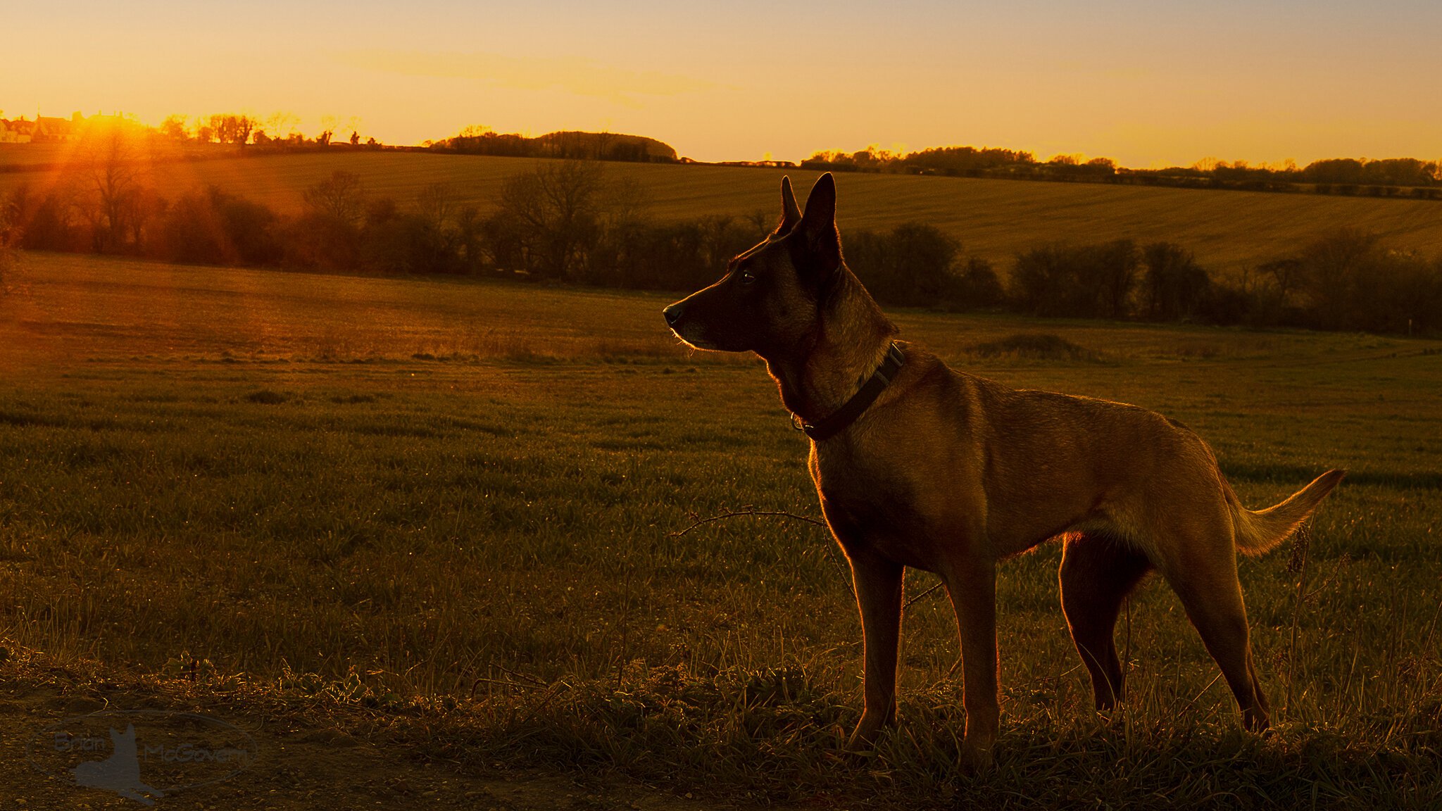 Ali at sunset SR.jpg