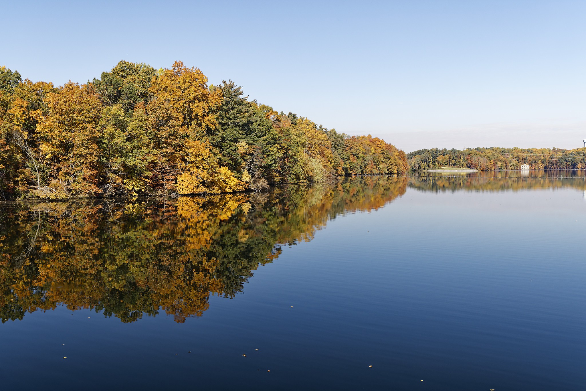 Autum reflection.jpg