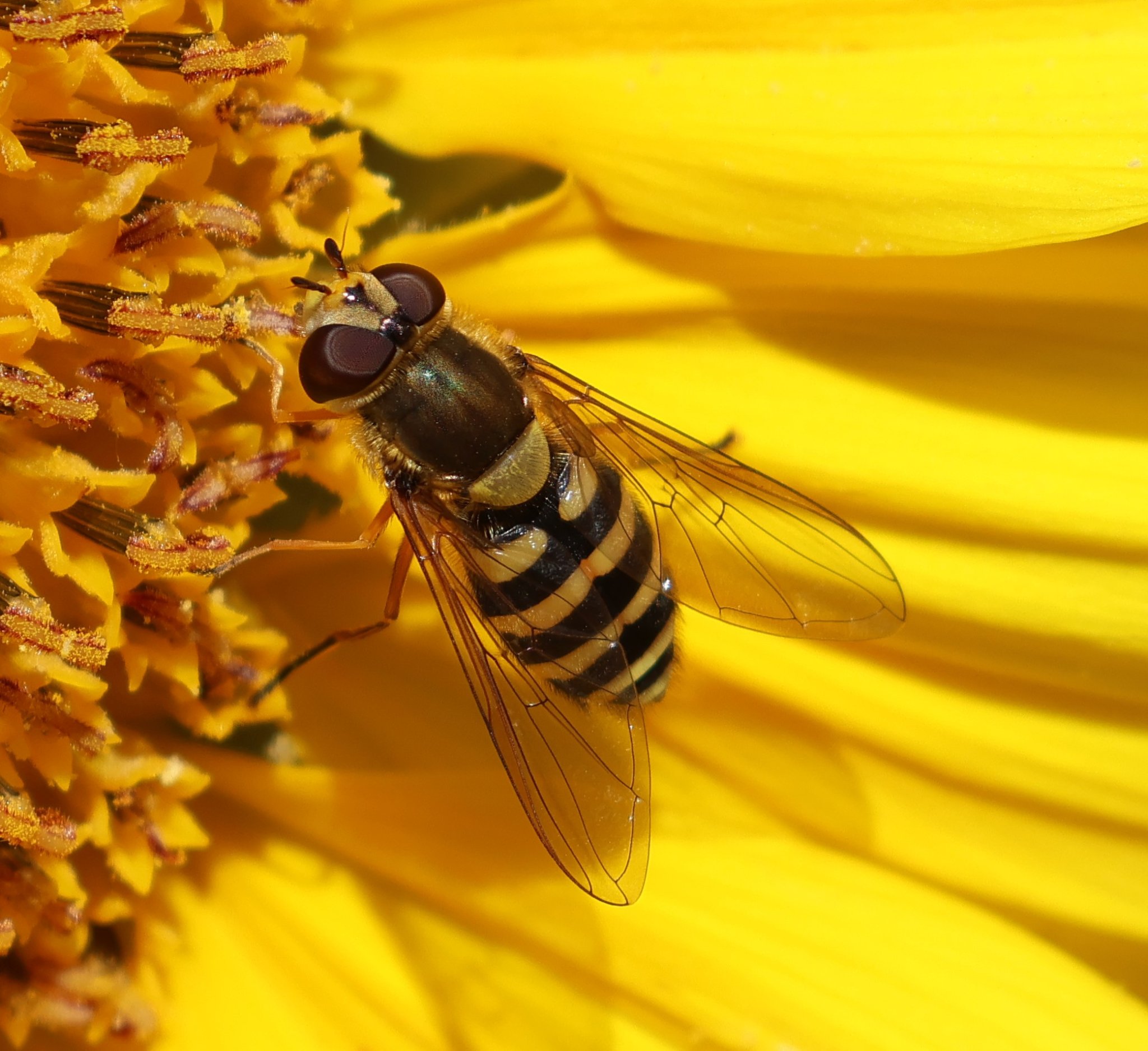 AW4A9588a.JPG