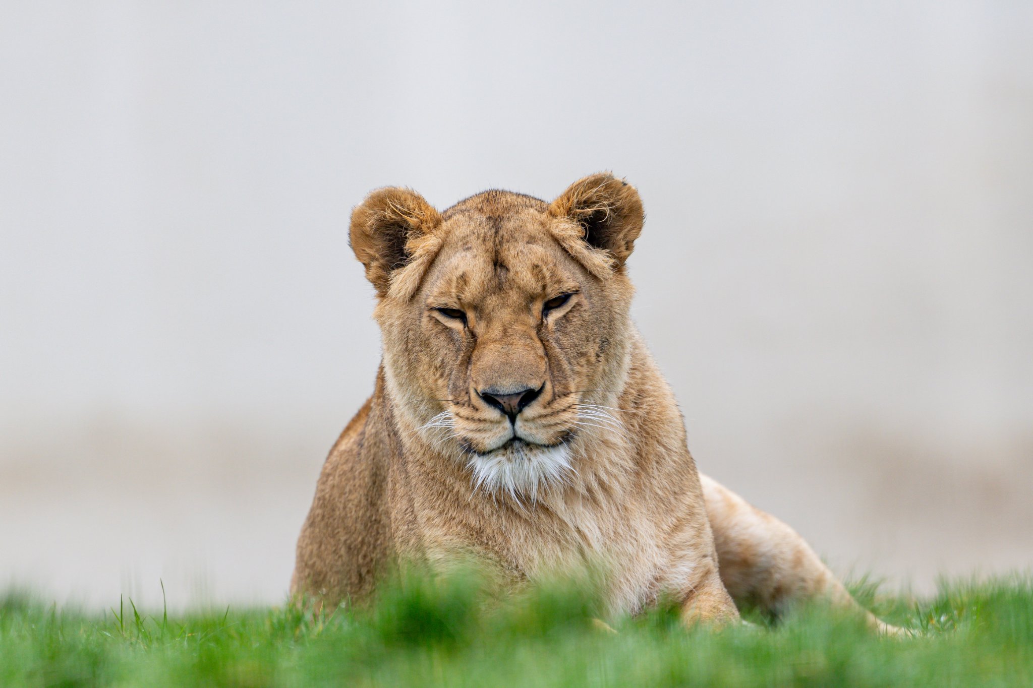 BCS 27-02-2026 0087.jpg