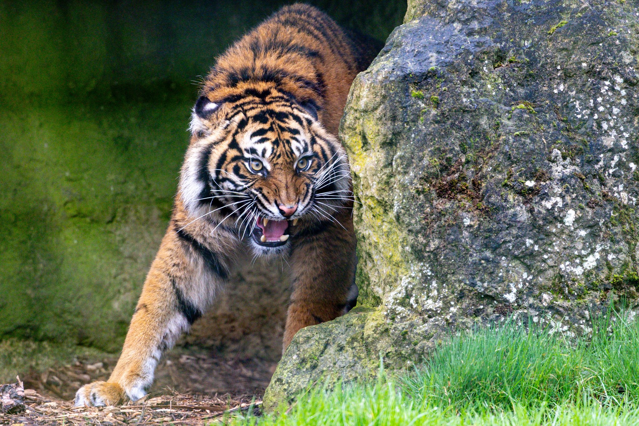 BCS 27-02-2026 0116.jpg