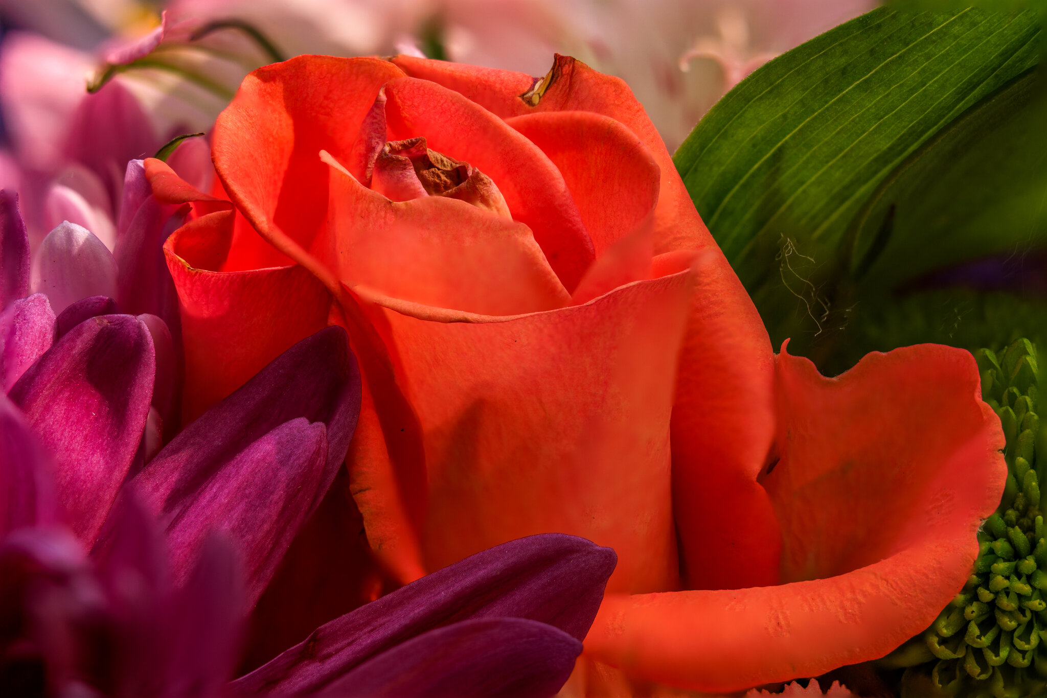 Bouquet.jpg