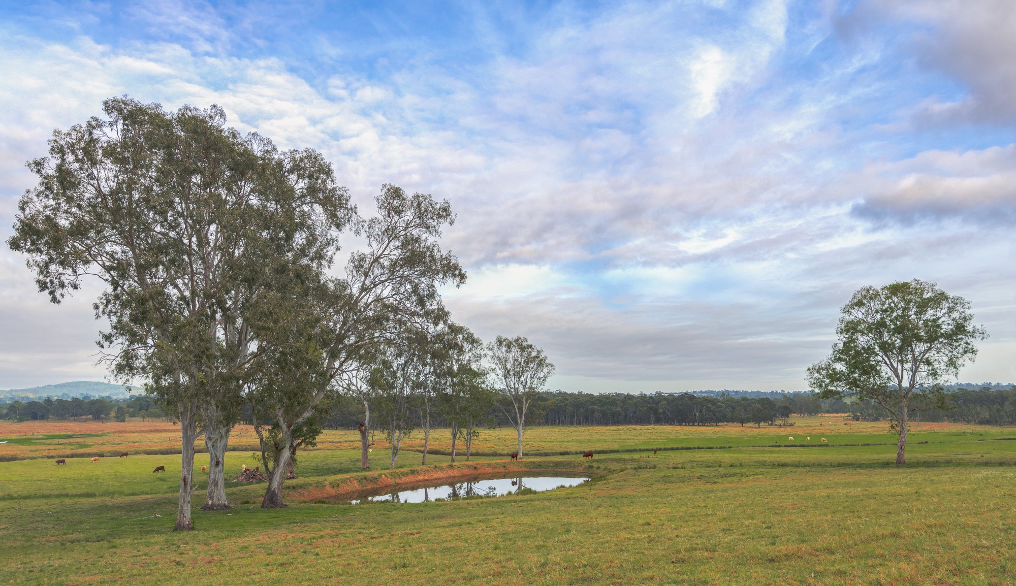 View from Brisbane Valley Rail Trail near Fernvale, Queensland