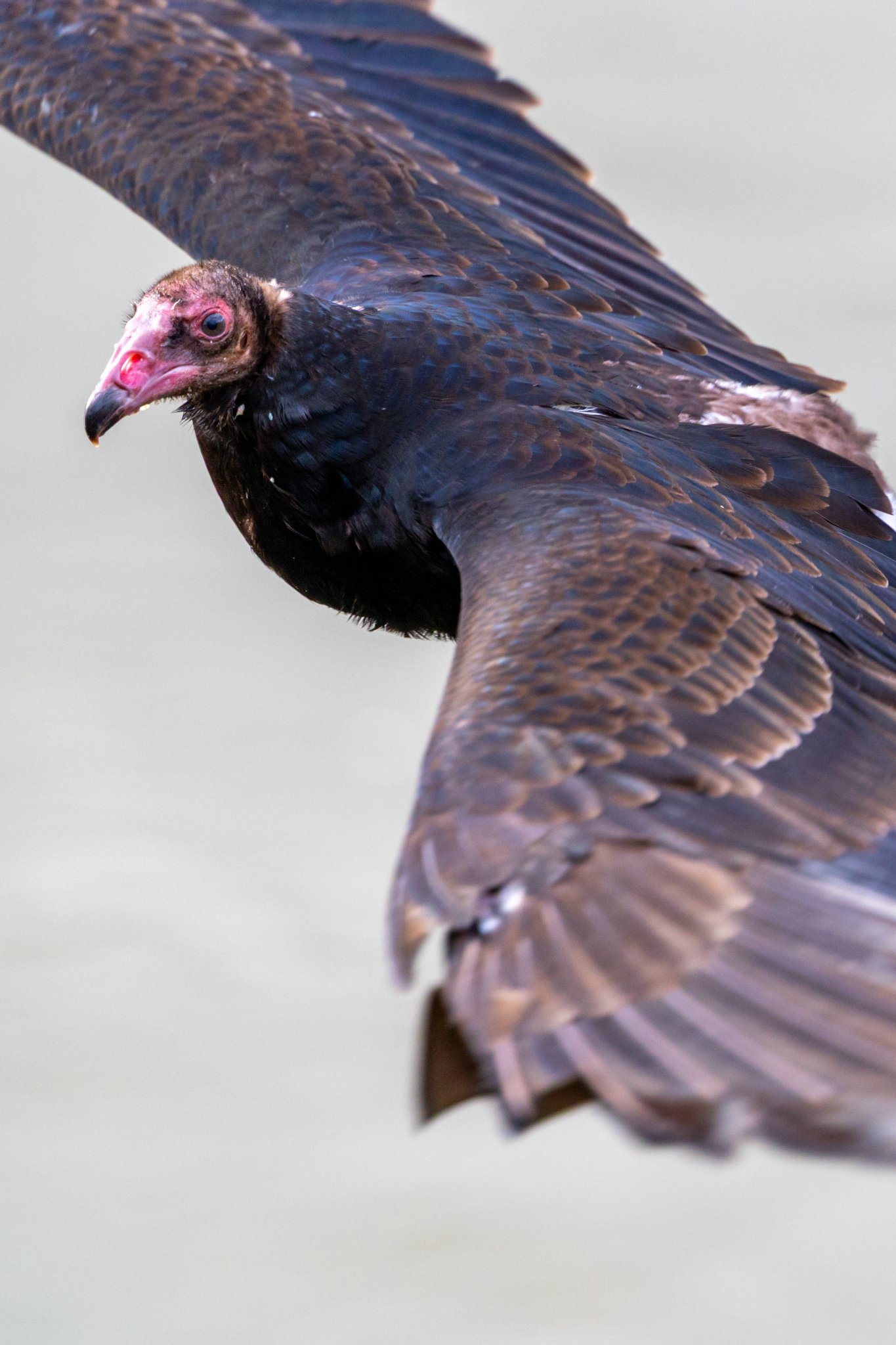 Canada 10-11-2025 0016.jpg