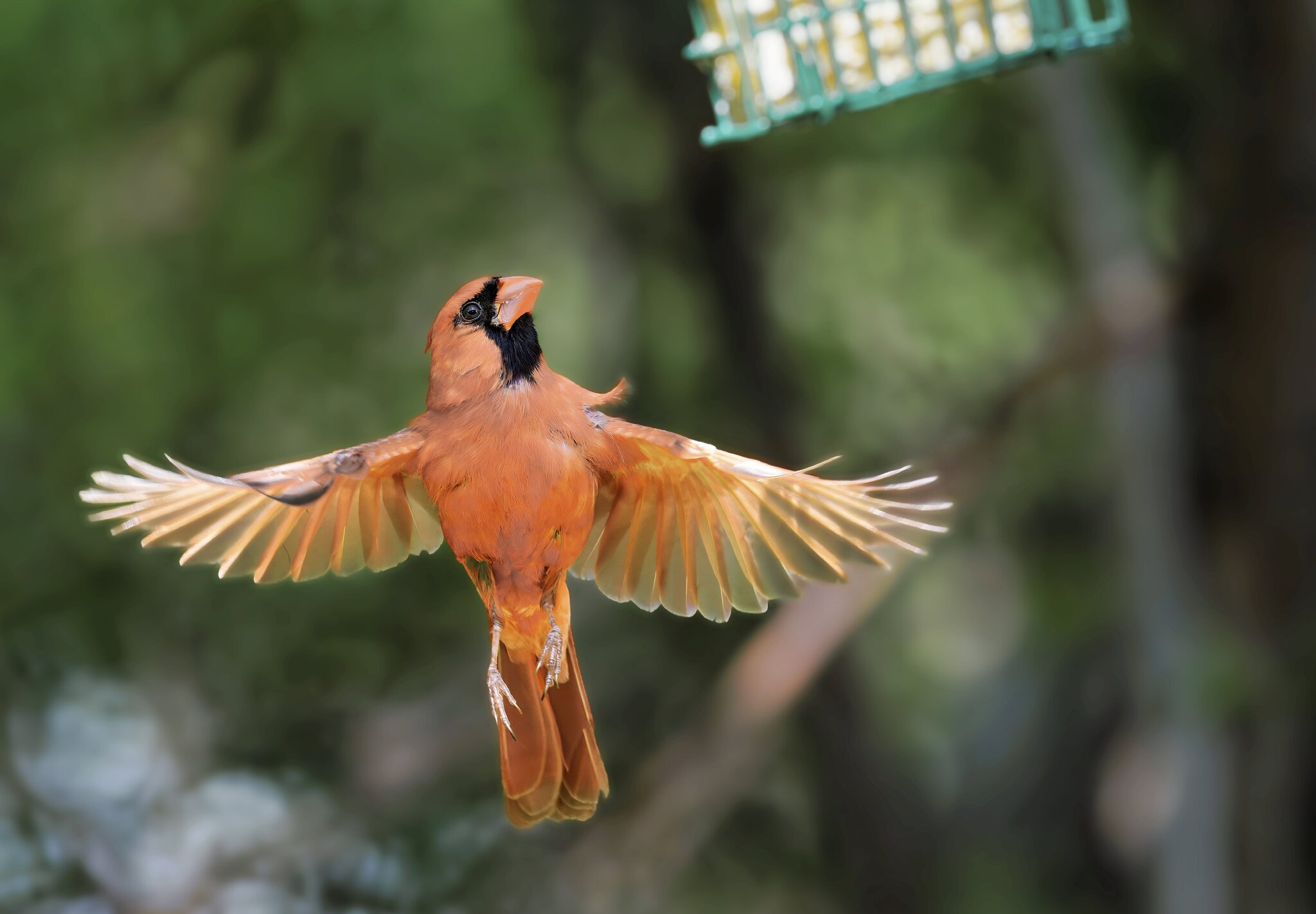 Card1.jpg