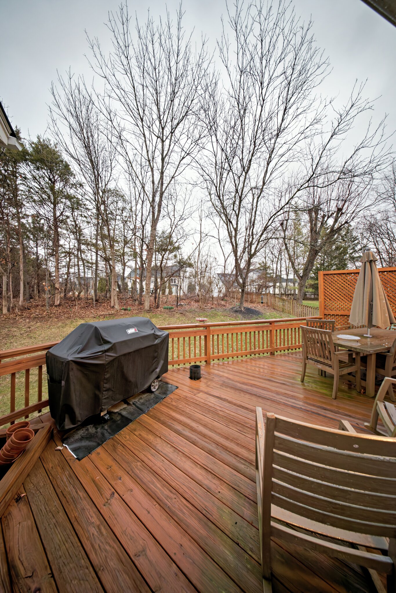 Cheesy Laowa Photo.jpg