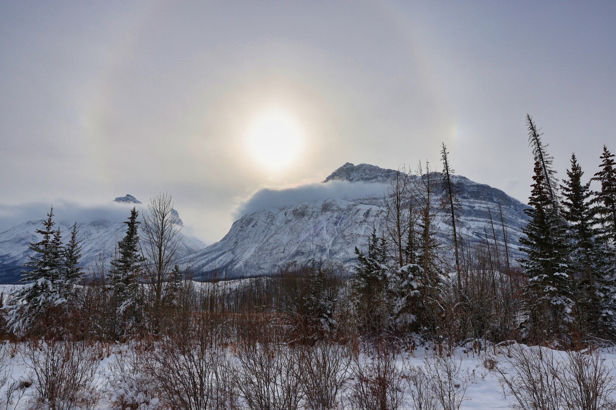 CSP_0511 David Thompson Highway.jpg