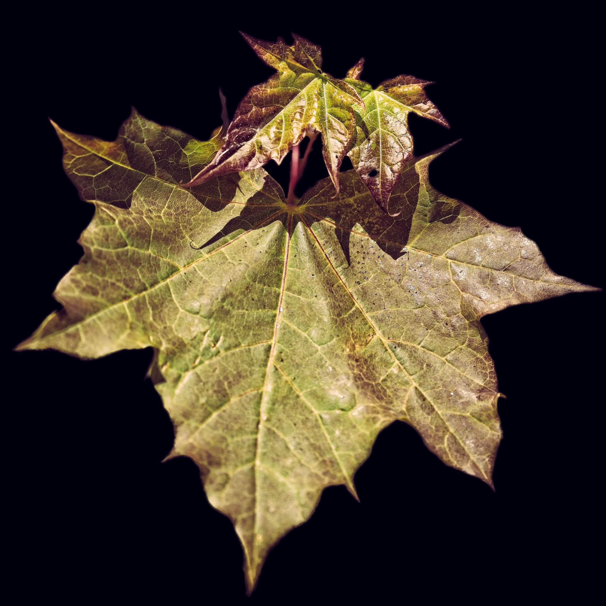 DV8A7653 1.jpg